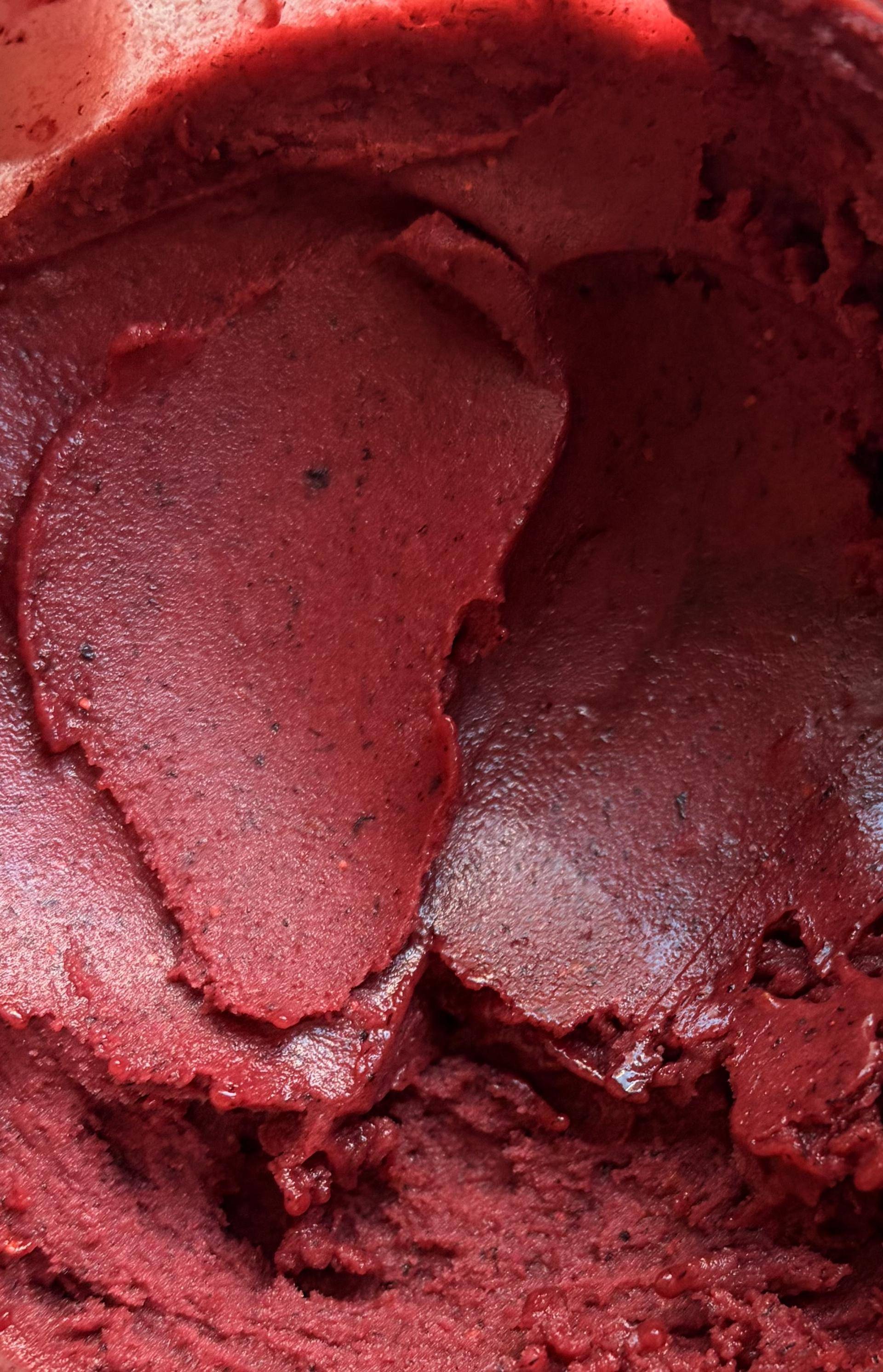 Sorbet Myrtilles - Recette Freezi | Moulinex