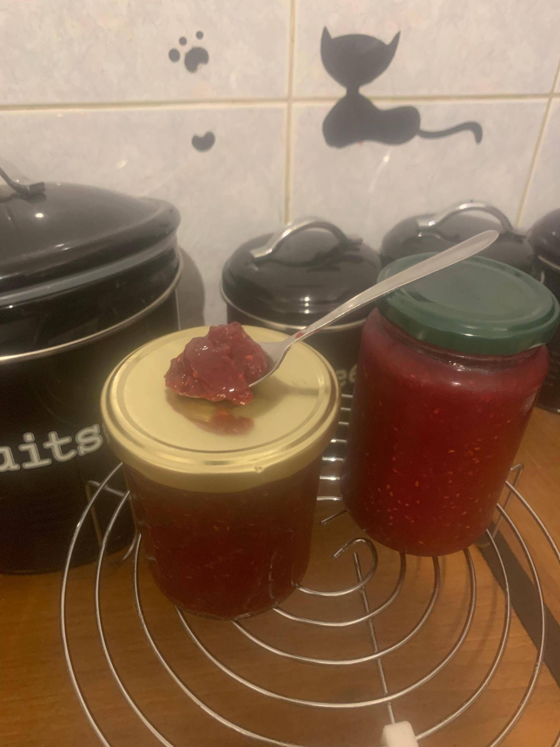 Confiture framboise allégée en sucre - Recette Companion Connect XL | Moulinex