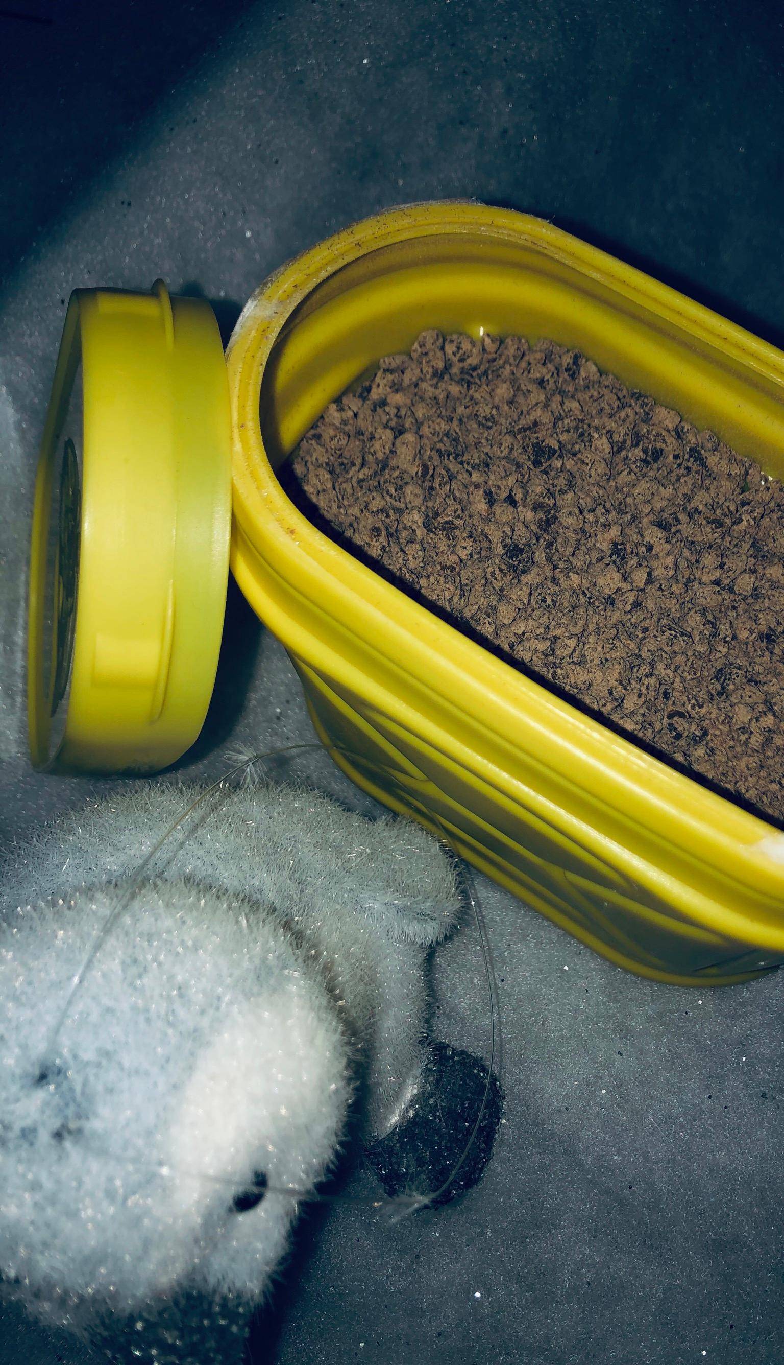 Cacao en poudre - Recette Companion XL | Moulinex