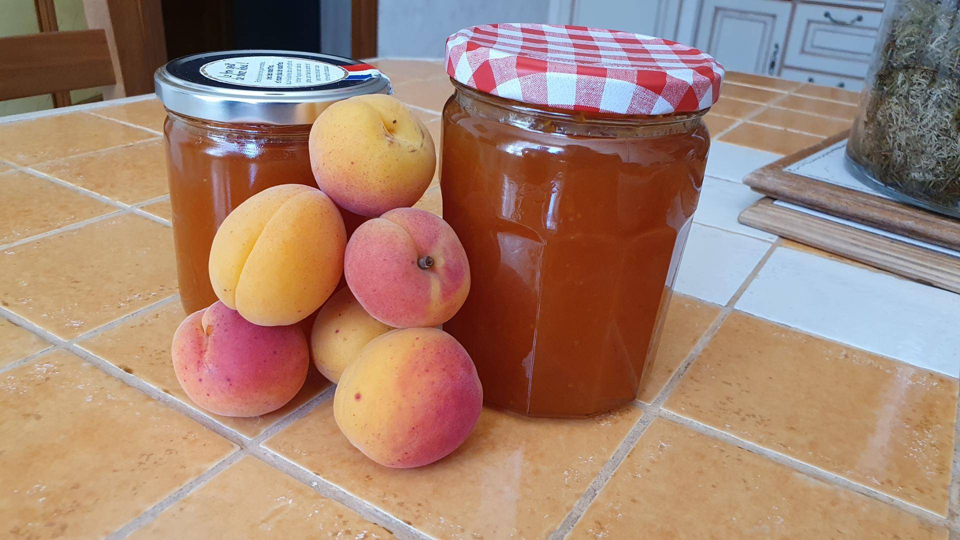 Confiture d'abricot - Recette Companion Connect XL | Moulinex