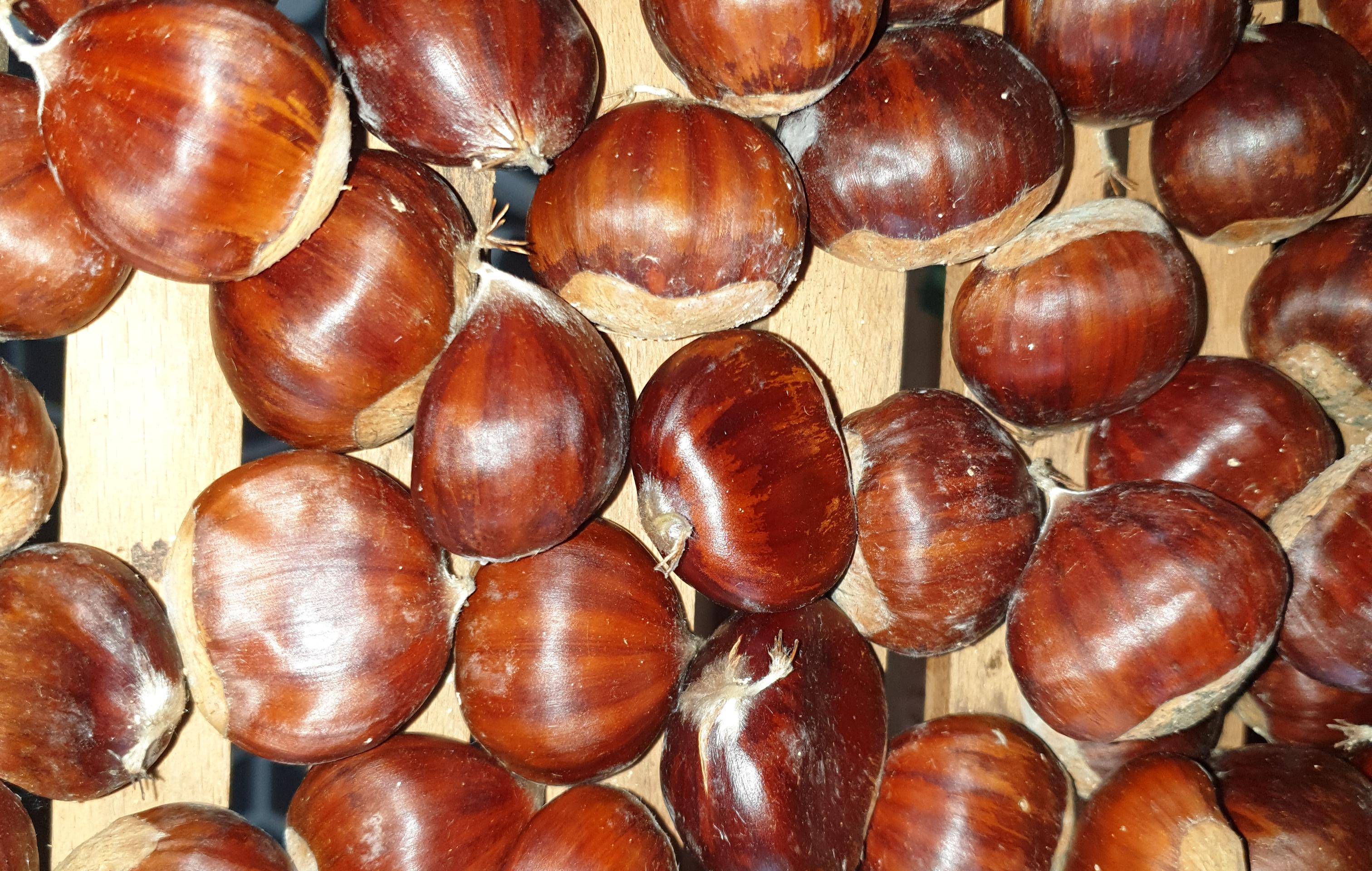 Chataignes grillées - Recette Easy Fry XL Surface | Moulinex