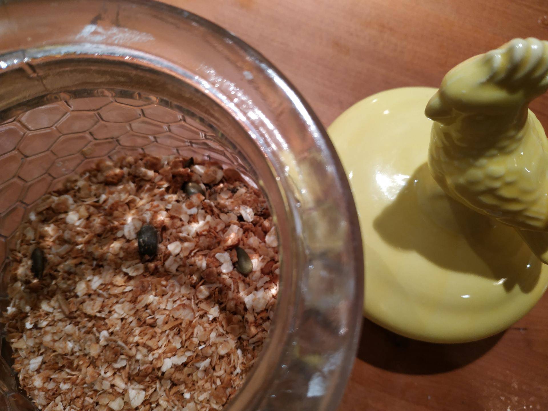 Muesli - Recette Companion XL | Moulinex