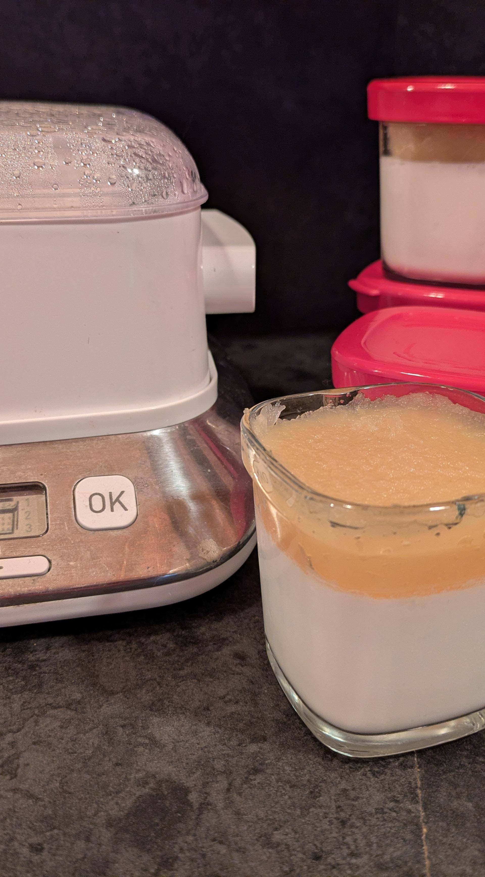 Yaourt avec yaourtiere - Recette Companion XL | Moulinex