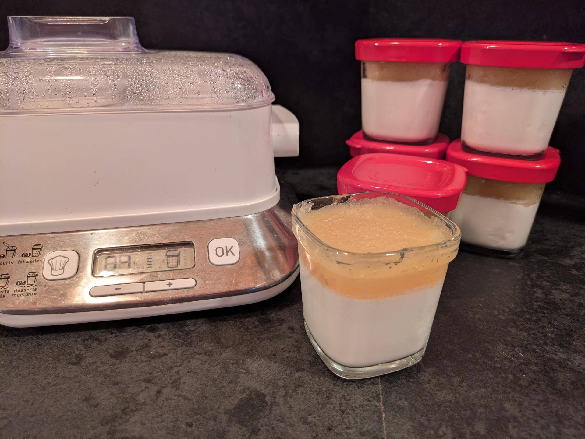 Yaourt avec yaourtiere - Recette Companion XL | Moulinex