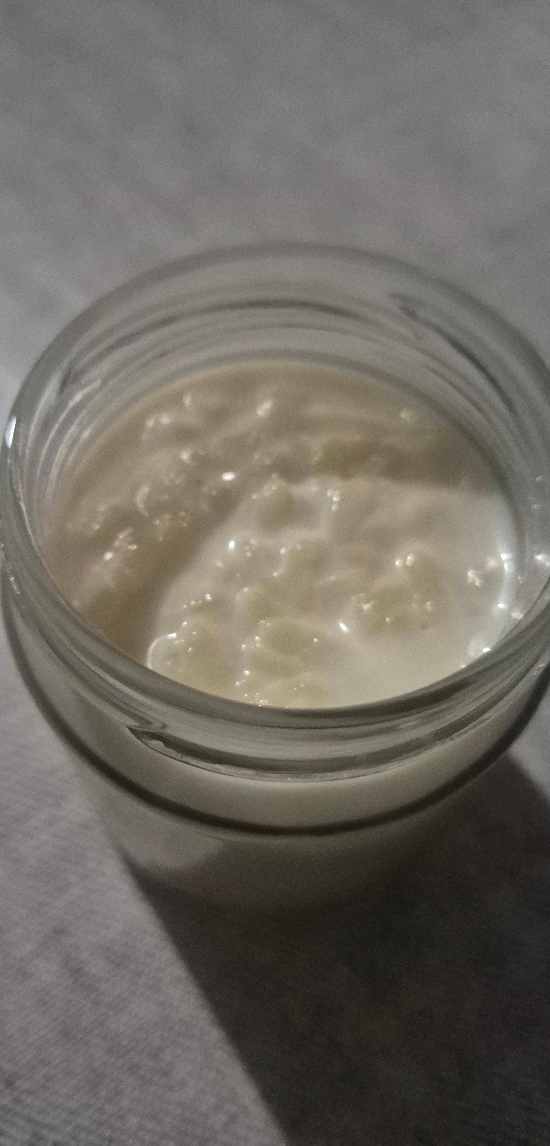 Riz au lait à la vanille - Recette Companion Connect XL | Moulinex
