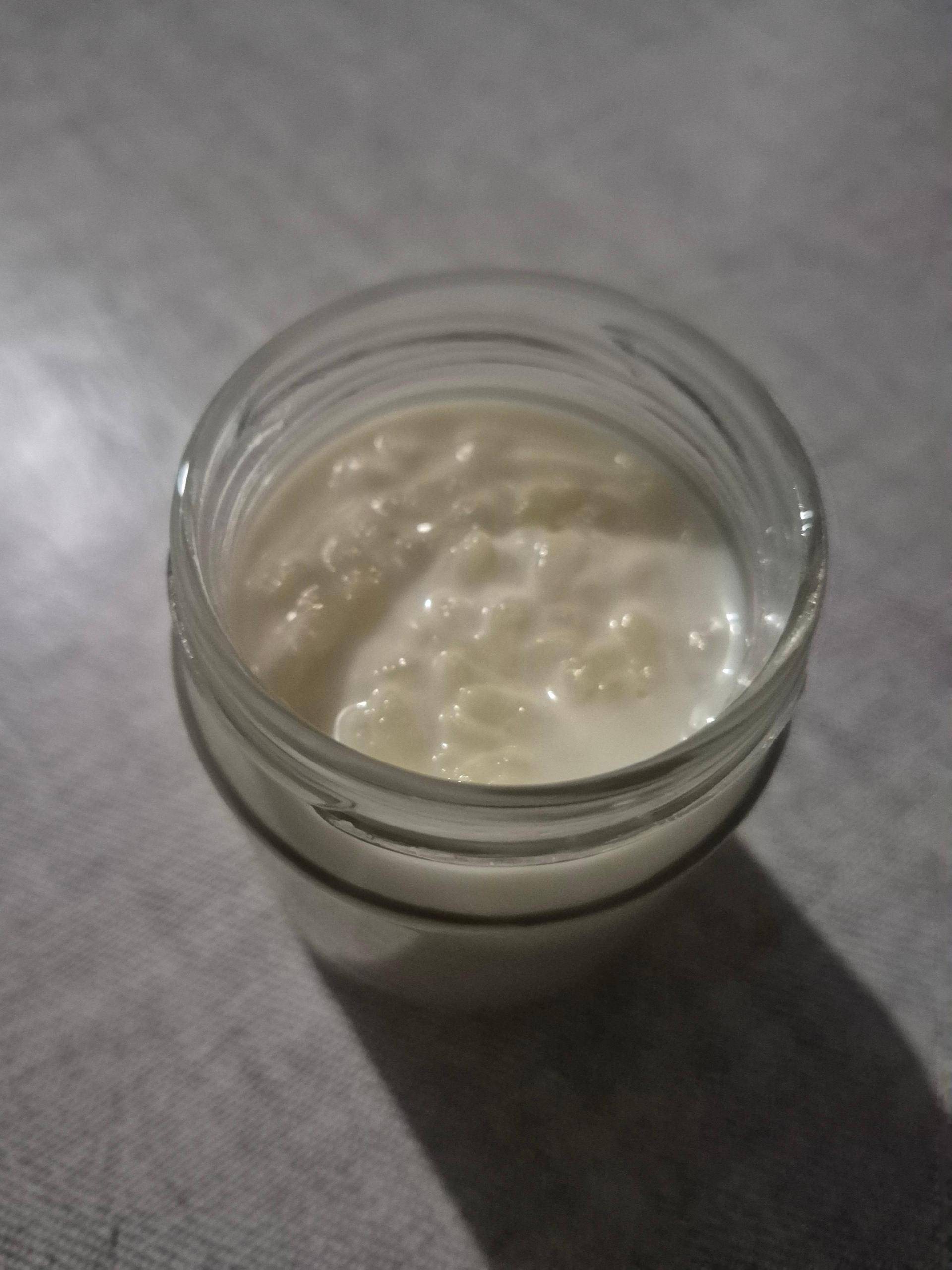Riz au lait à la vanille - Recette Companion Connect XL | Moulinex