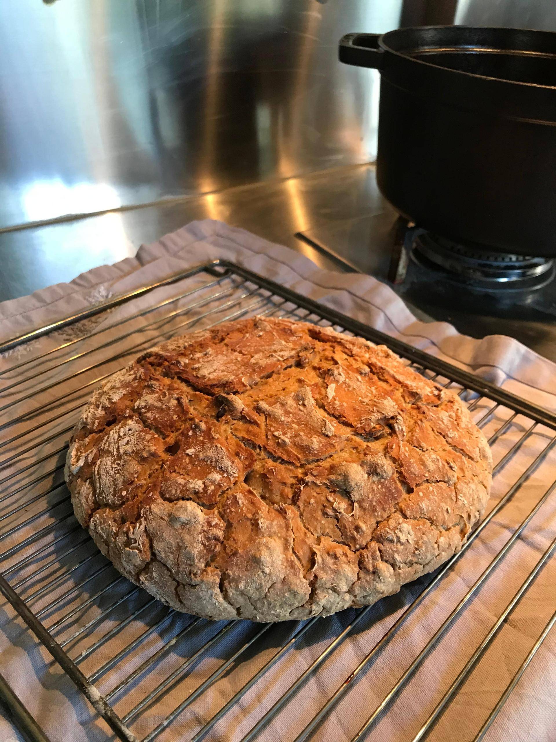 Pain en cocotte au levain maison - Recette Companion Connect XL | Moulinex