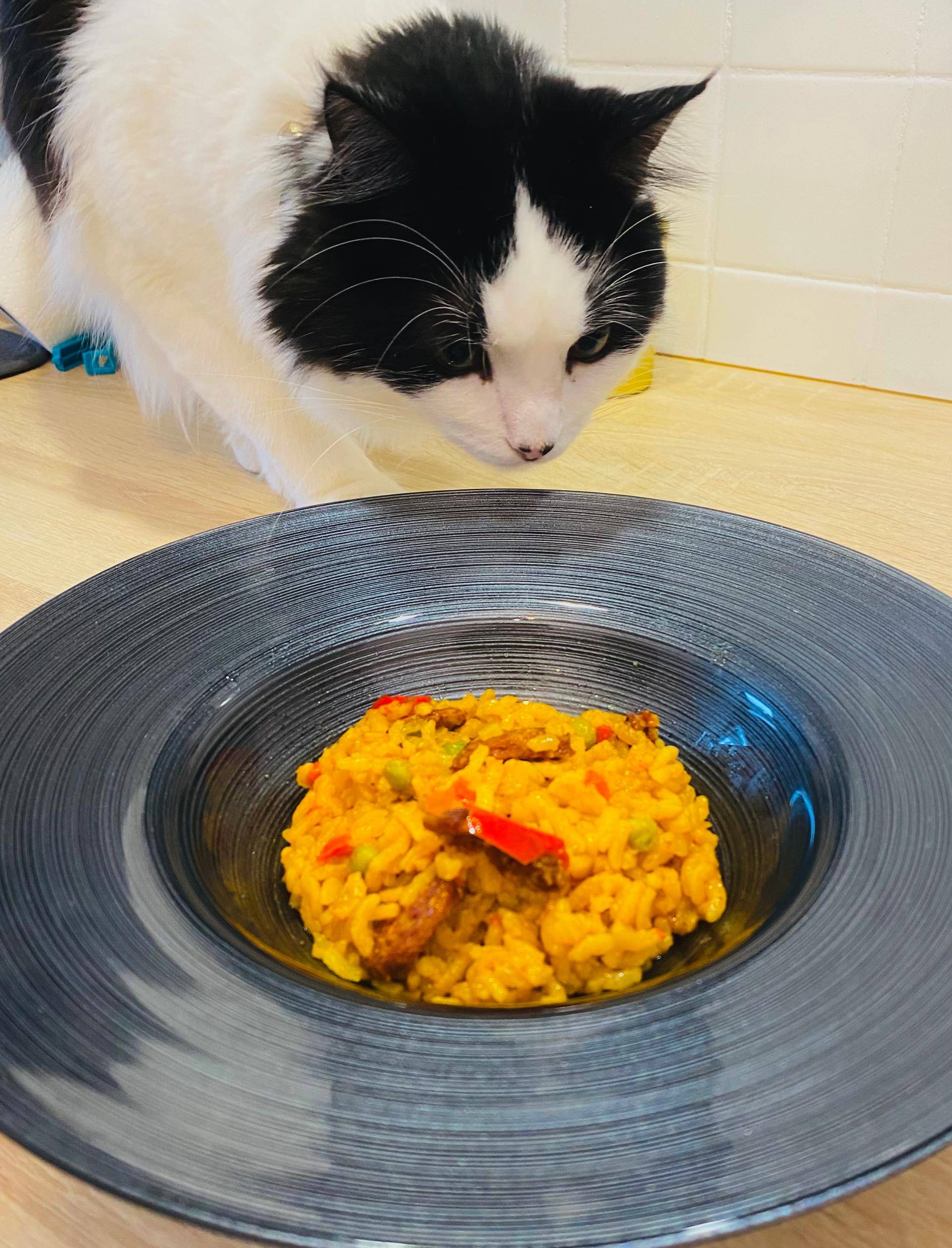 Risotto façon grand-mère - Recette Cookeo V3 | Moulinex