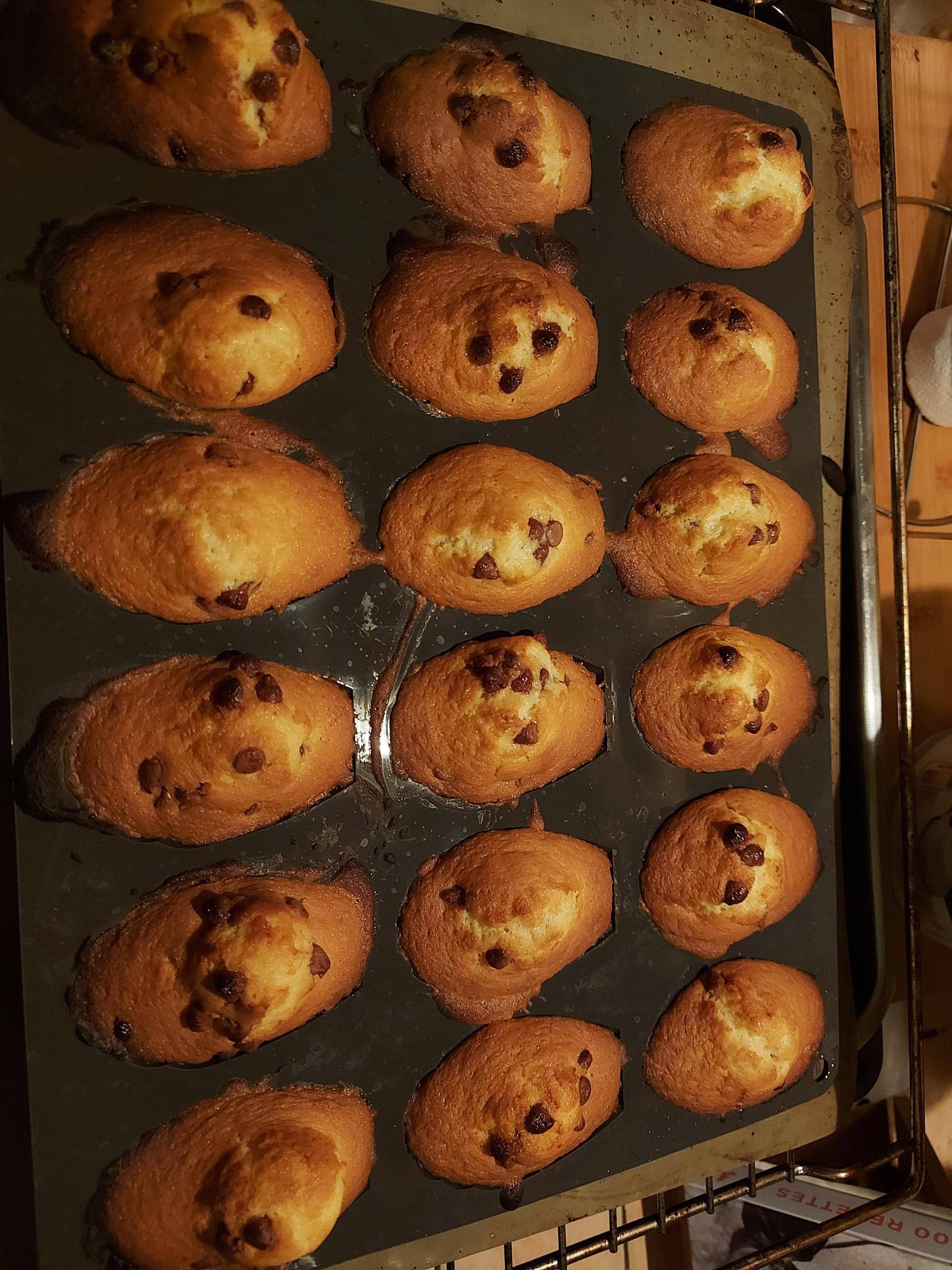 Madeleine au pépite chocolat - Recette Companion Connect XL | Moulinex