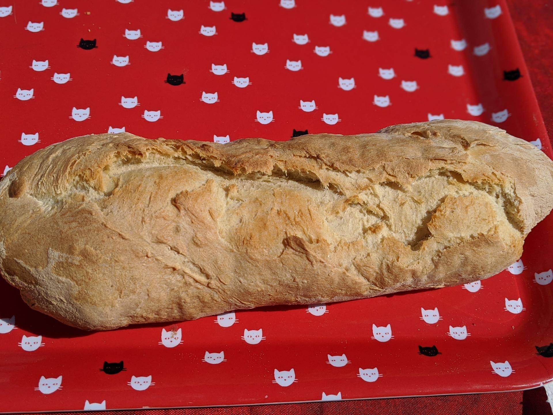 Pain blanc style baguette - Recette Companion XL | Moulinex