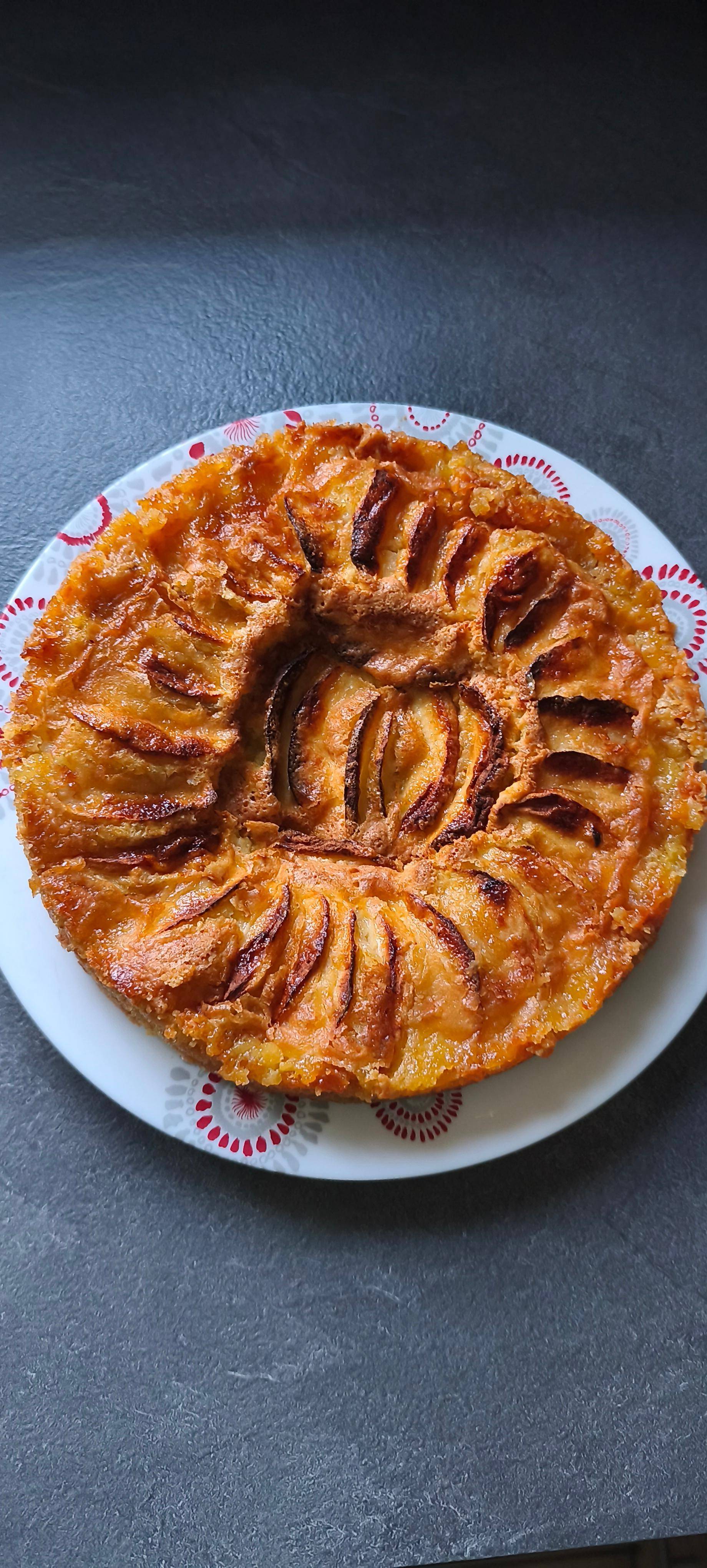 Biscuit aux pommes - Recette EASY FRY & GRILL 2 in 1 XXL | Moulinex