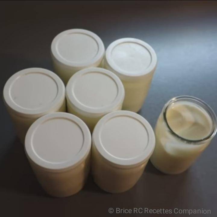 Yaourts (panier externe) - Recette Companion XL | Moulinex