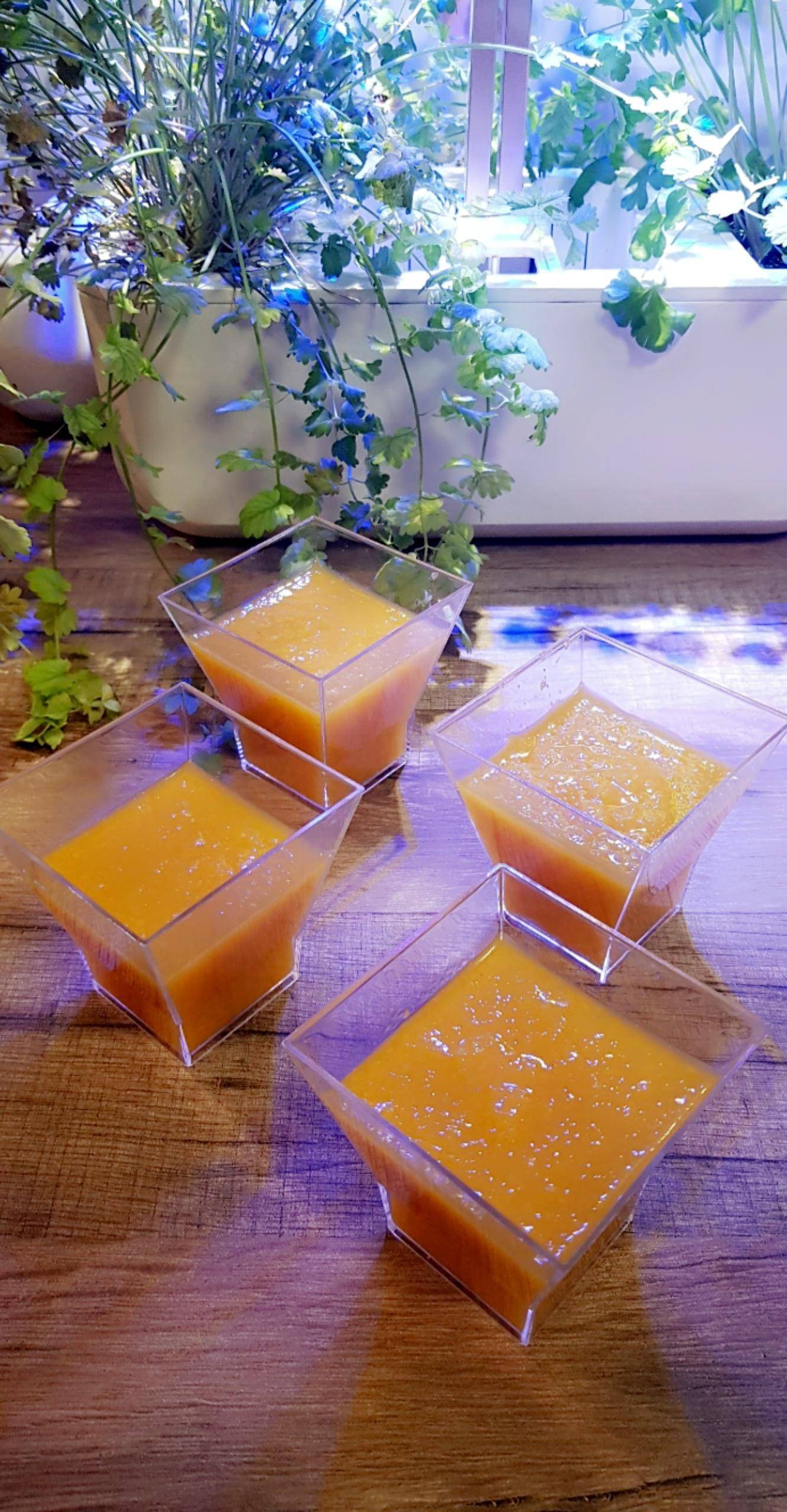 Coulis Mangue, Passion & citron vert - Recette Companion Connect XL | Moulinex