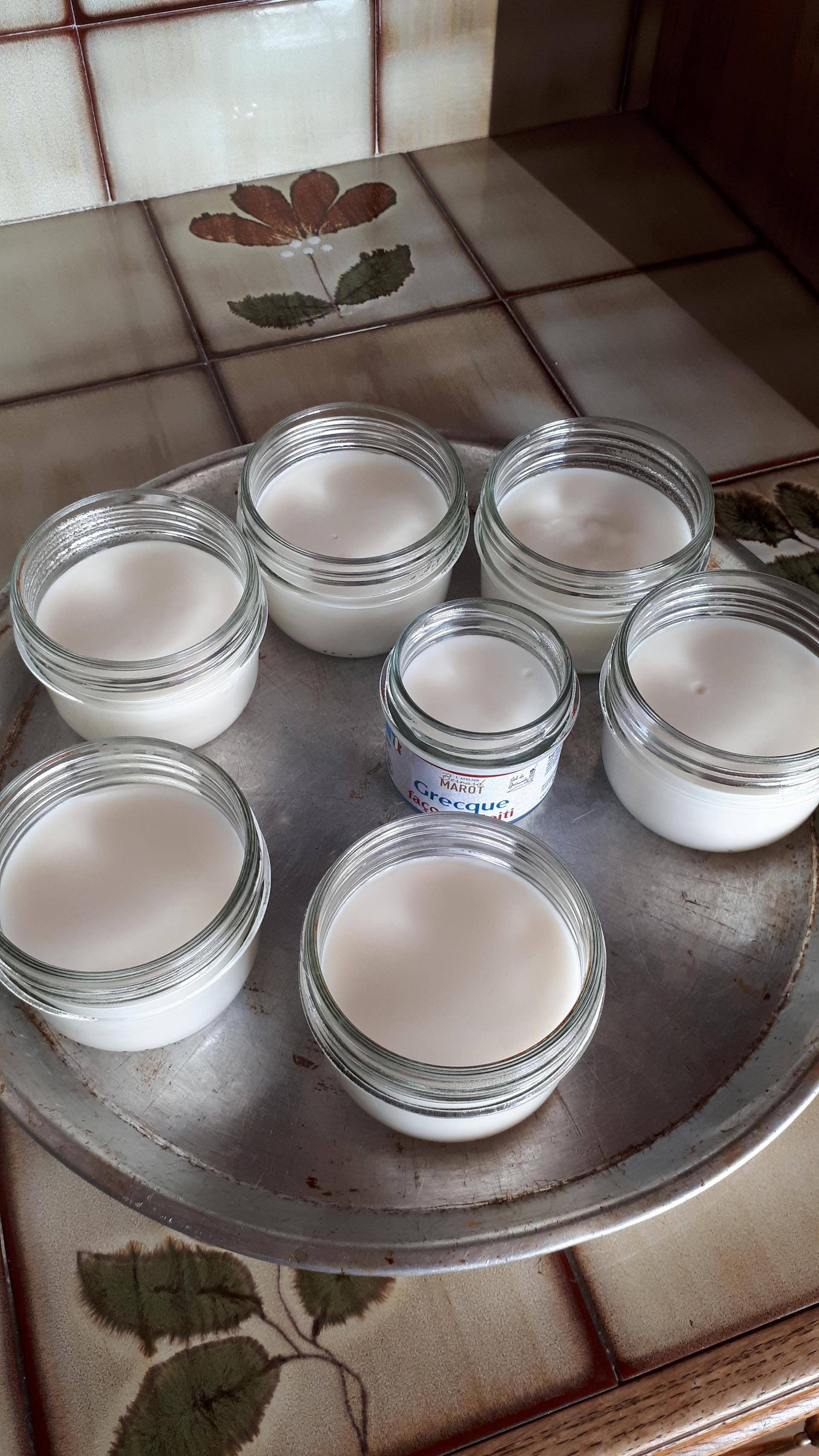 Crème dessert coco sans oeuf - Recette Companion | Moulinex