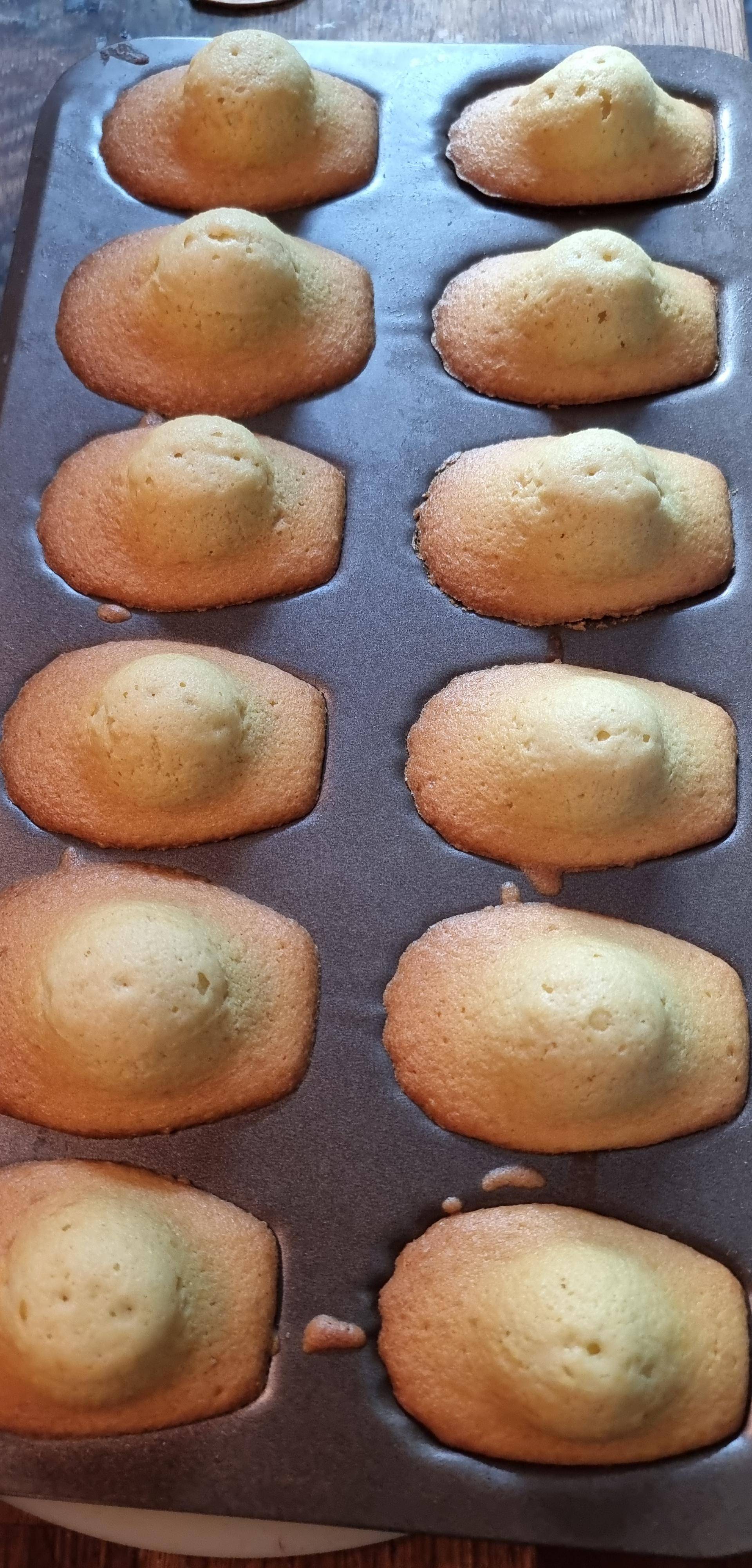 Madeleines de Alexis - Recette Companion Connect | Moulinex