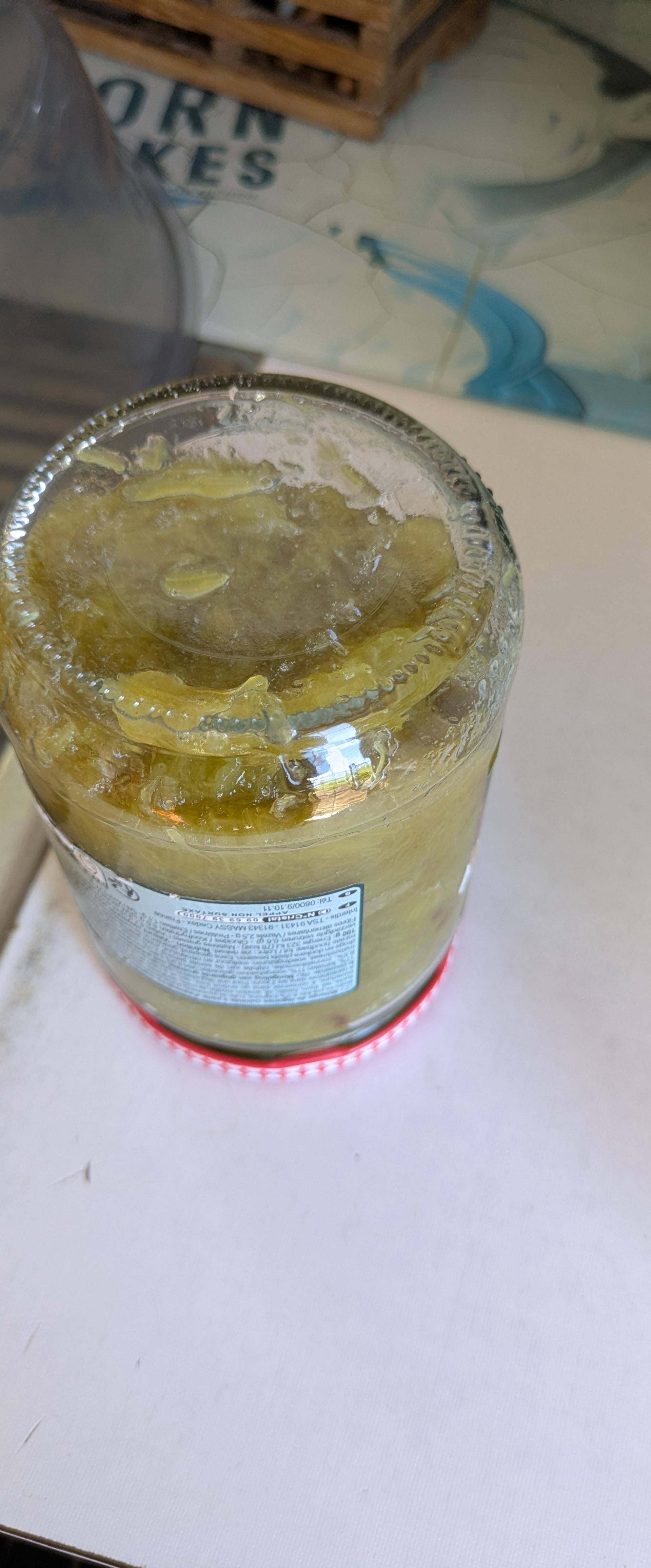 Compote de rhubarbe de Noodles - Recette Cookeo Infinity Autostir | Moulinex