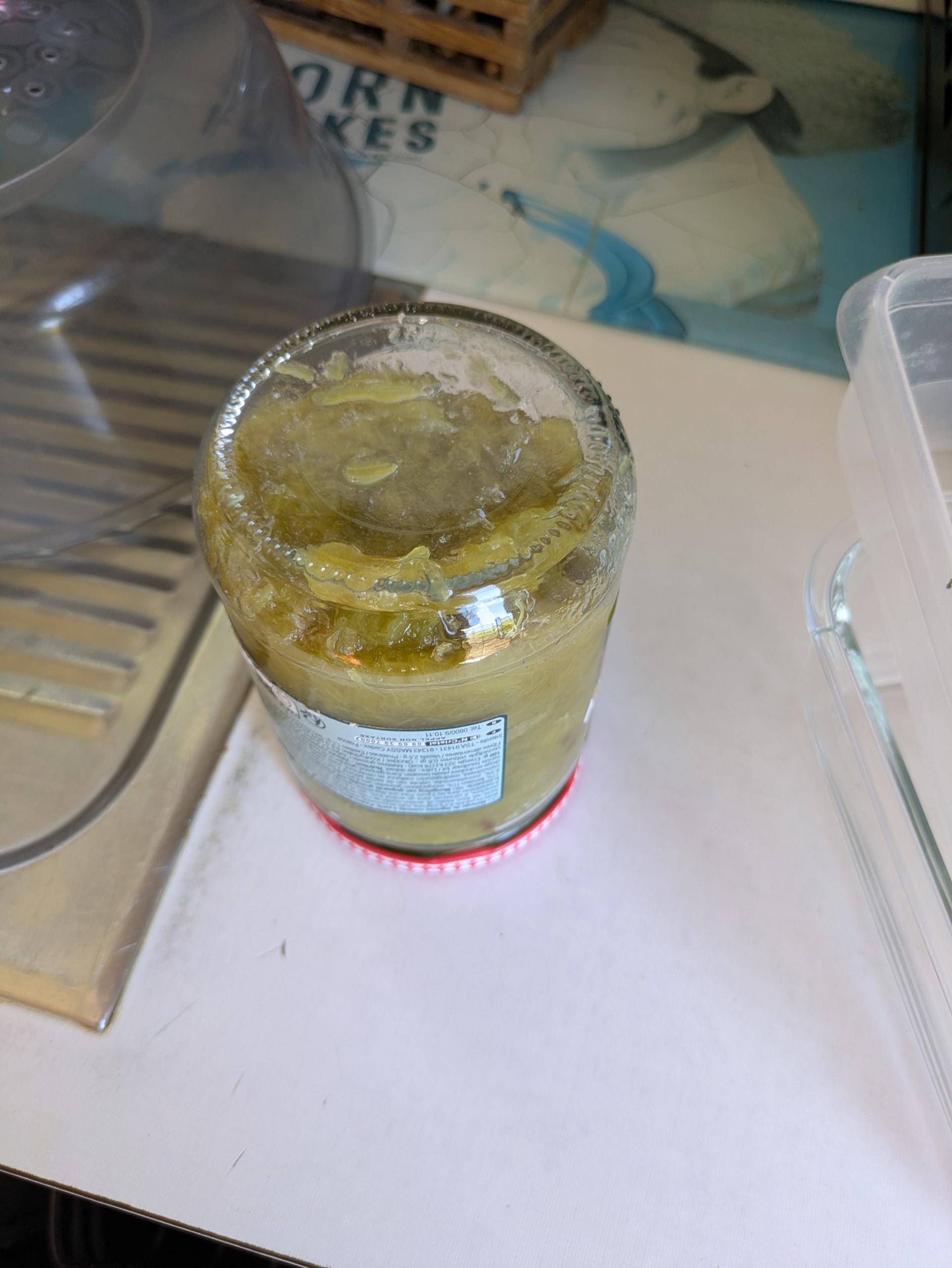 Compote de rhubarbe de Noodles - Recette Cookeo Infinity Autostir | Moulinex