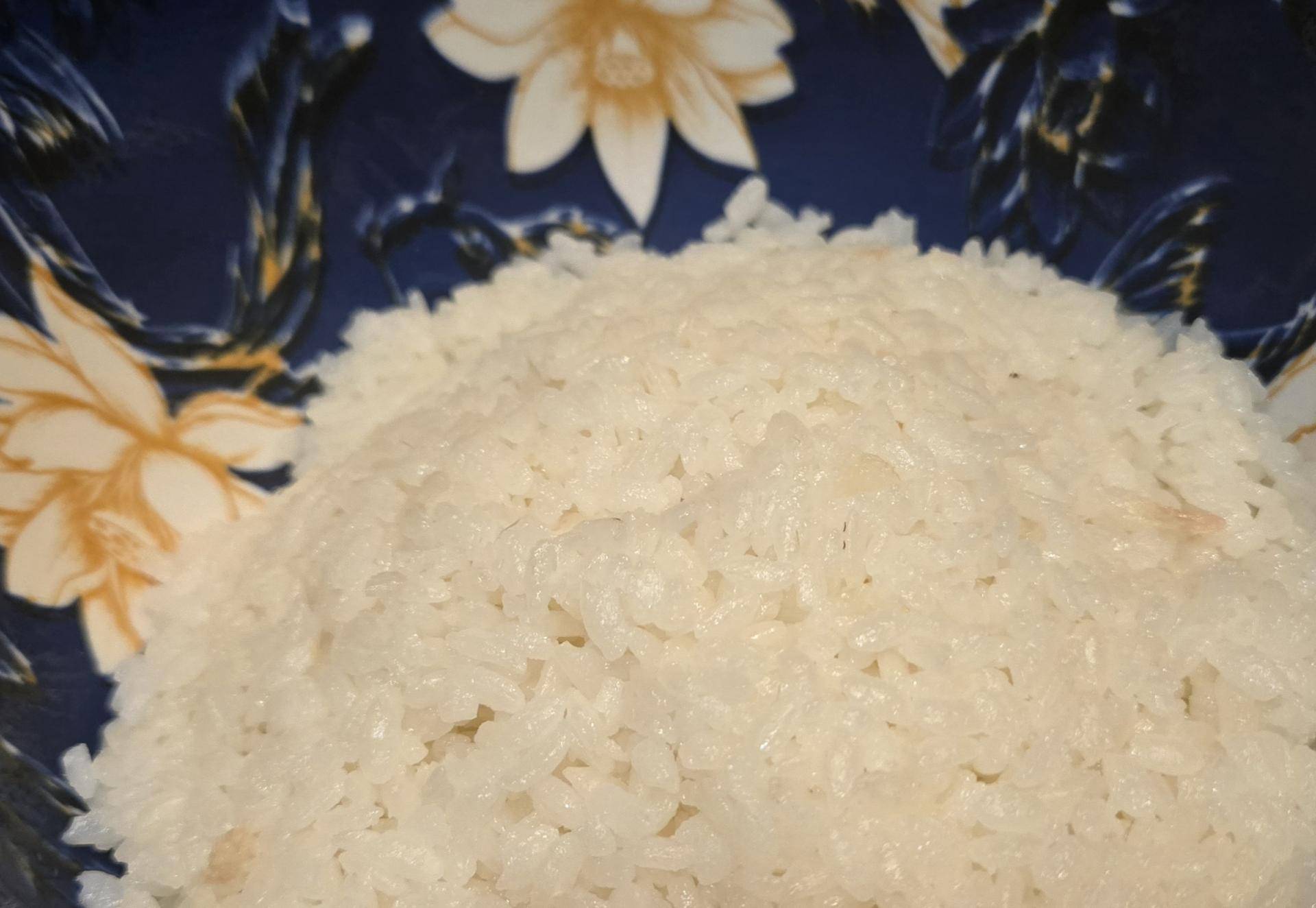 Riz rond façon riz japonais - Recette Companion Connect XL | Moulinex