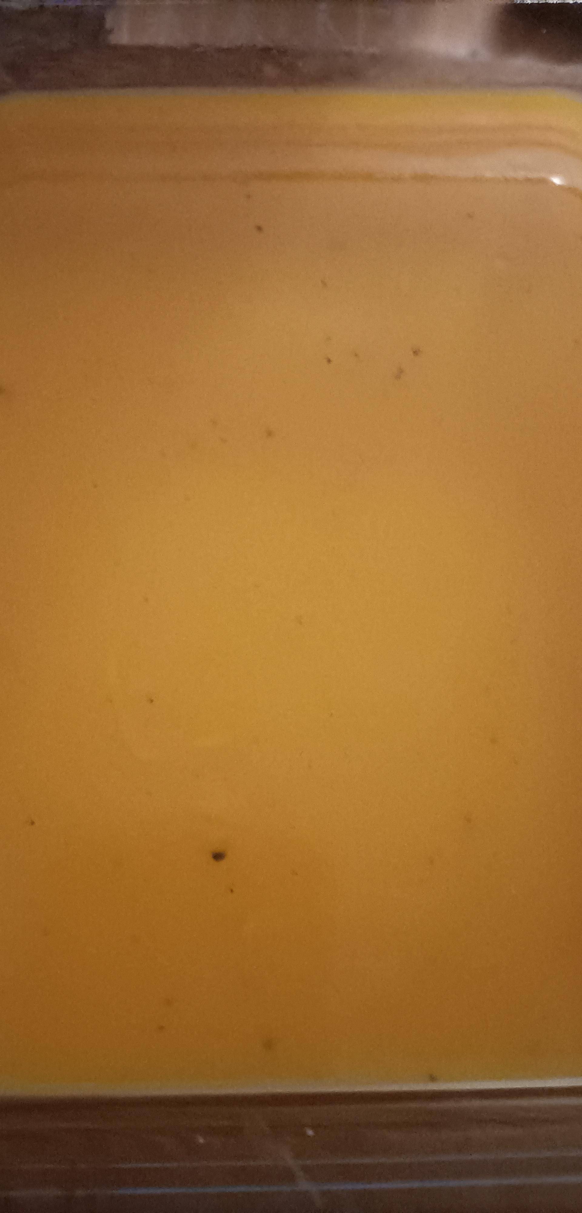 Velouté pomme de terre, patate douce et poireaux - Recette Companion Connect XL | Moulinex