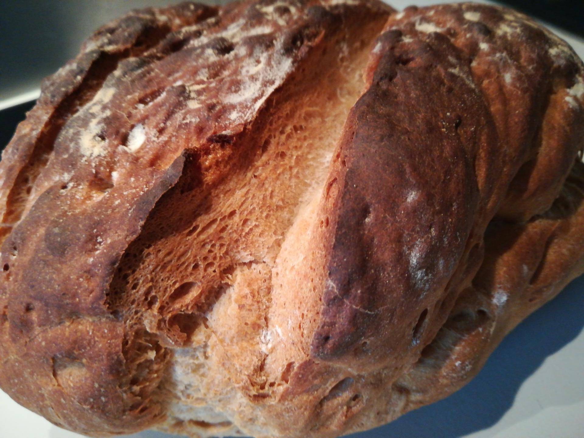 Pain complet croustillant - Recette Companion XL | Moulinex