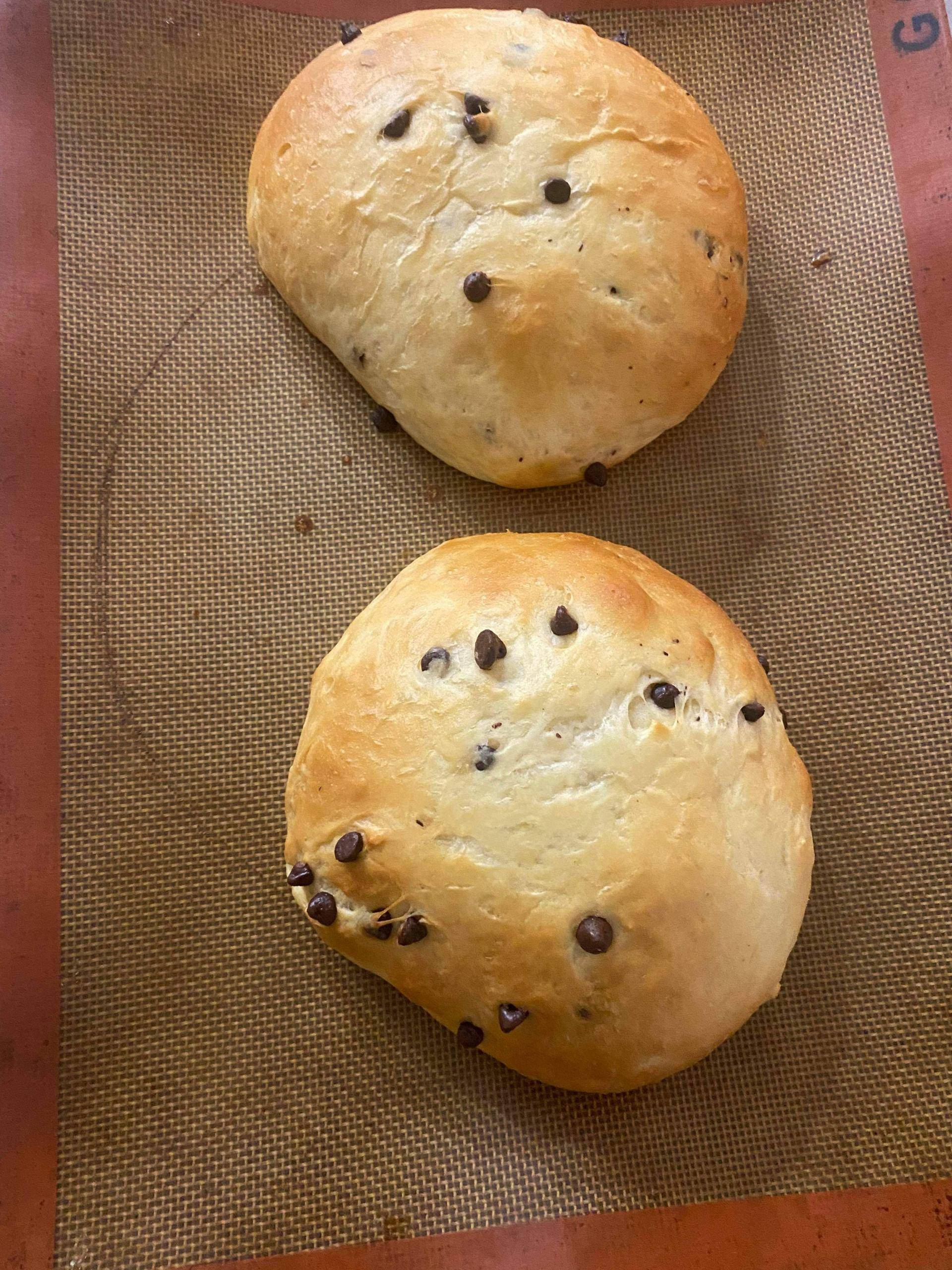 Pains viennois - Recette Companion Connect | Moulinex