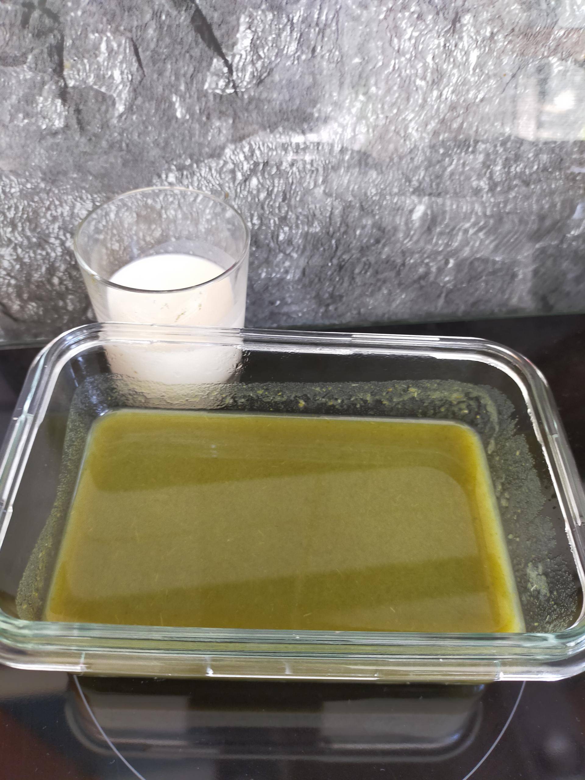 Velouté fane de navet nouveau - Recette Companion Connect XL | Moulinex