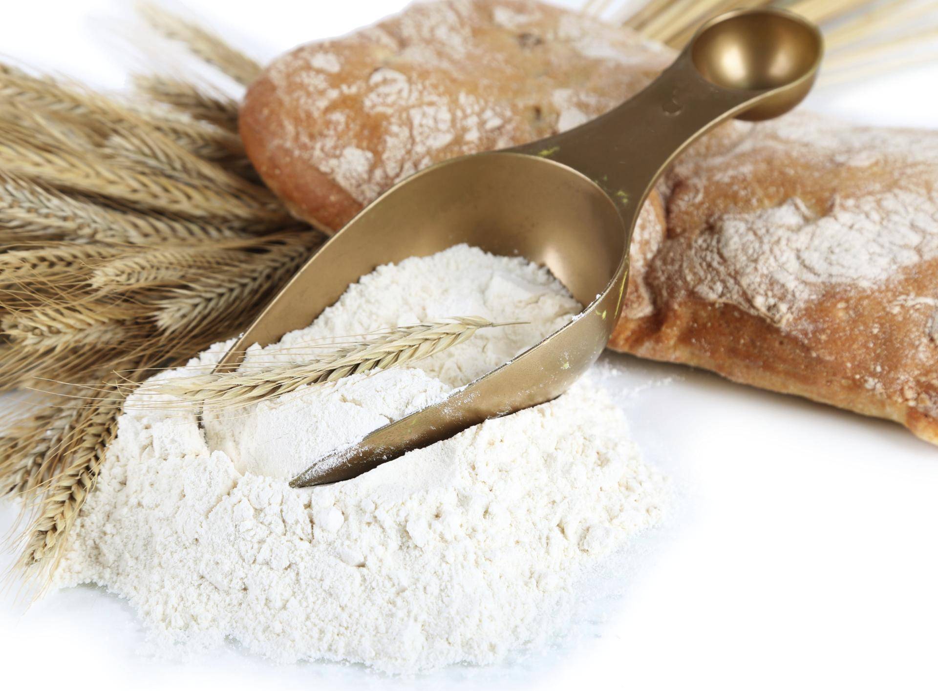 Pâte à pain blanc - Recette Kitchen Machines Touch/Touch + | Moulinex