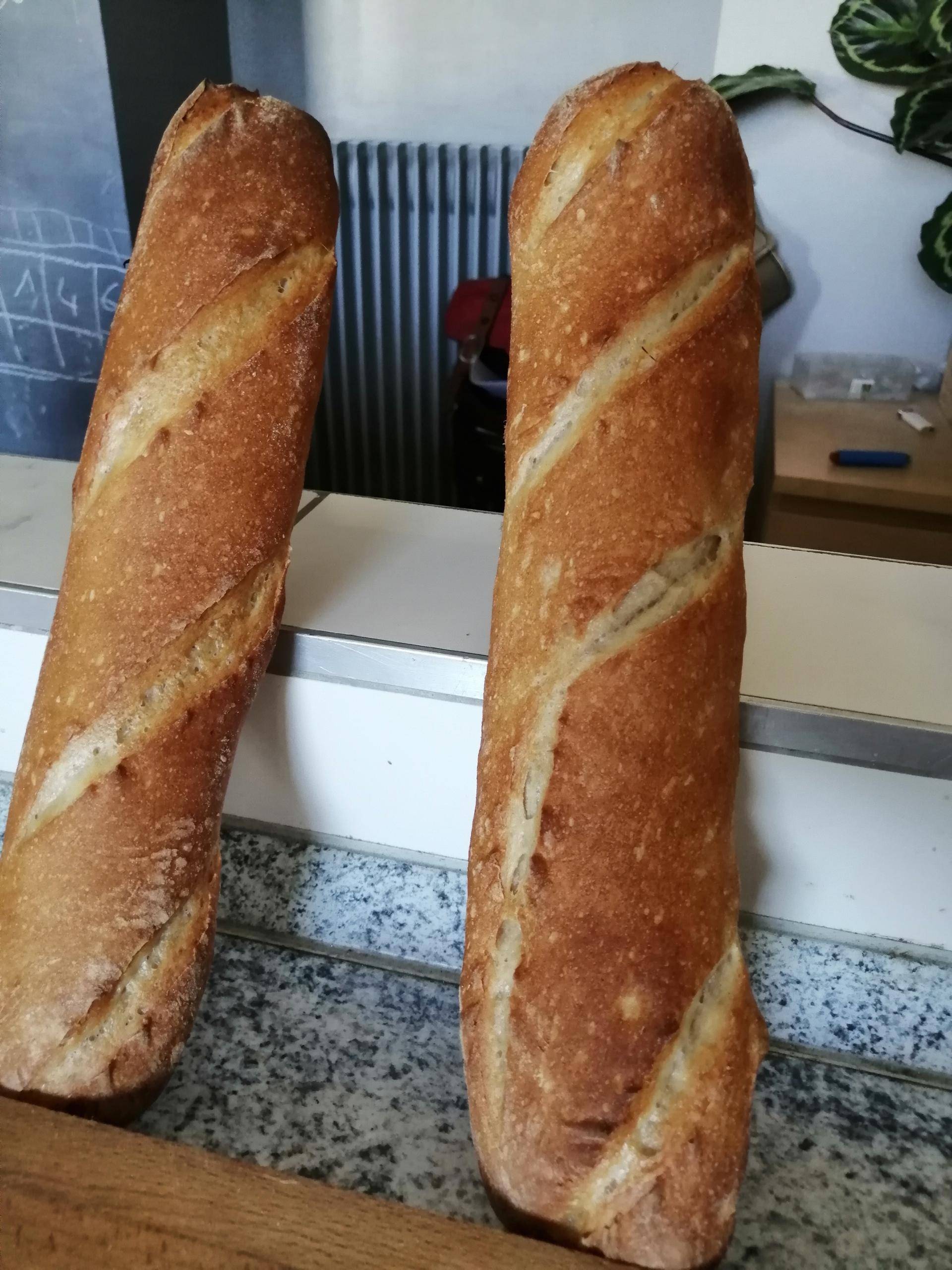 Pain blanc - Recette Companion Connect XL | Moulinex