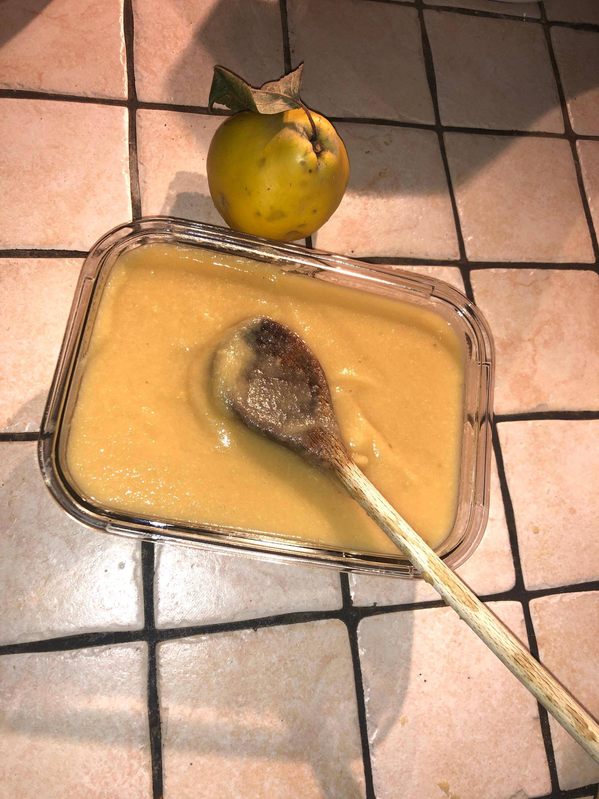 Compote pommes coings banane - Recette Companion Connect | Moulinex