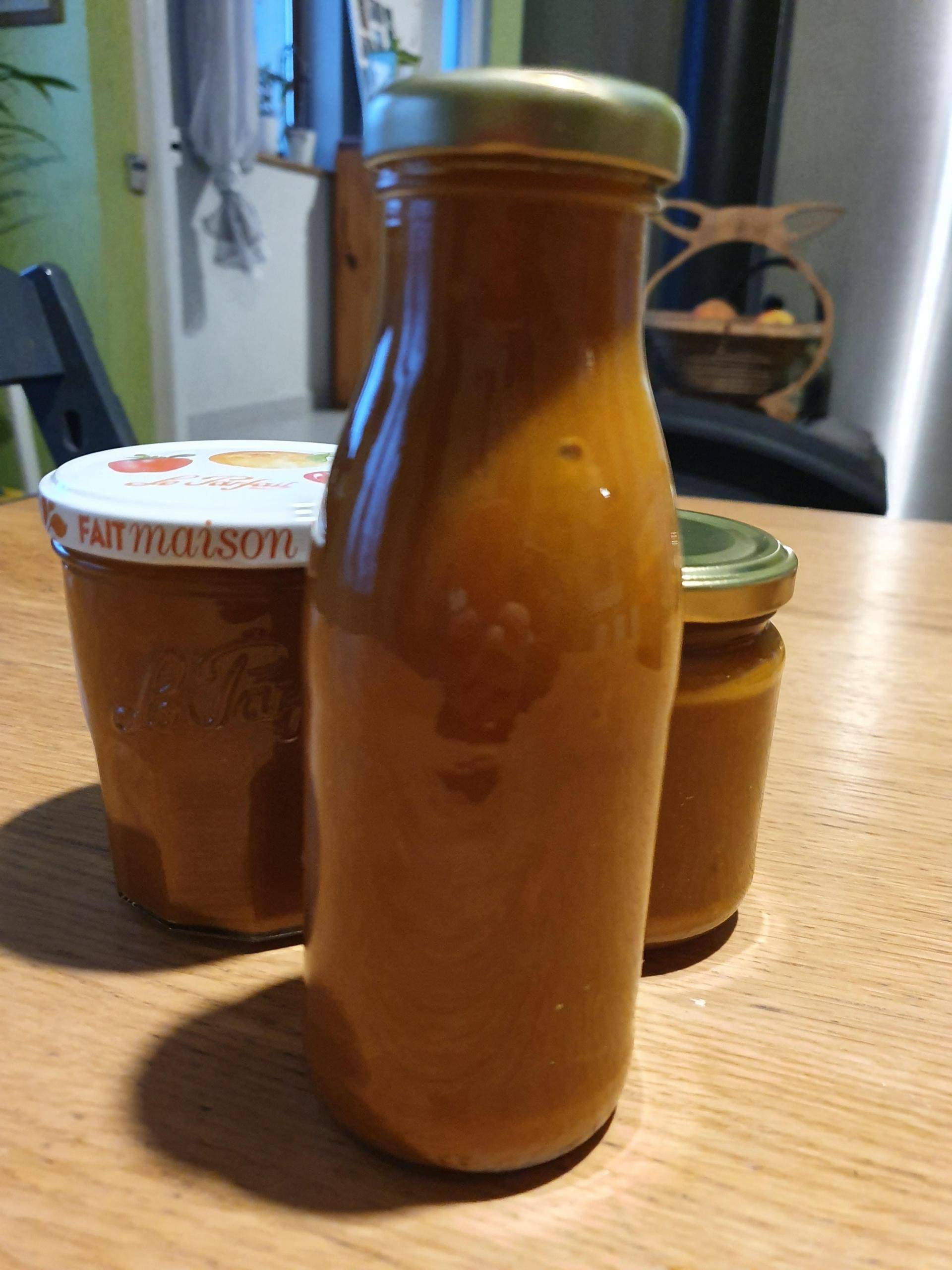 Ketchup rapide et facile - Recette Companion Connect XL | Moulinex