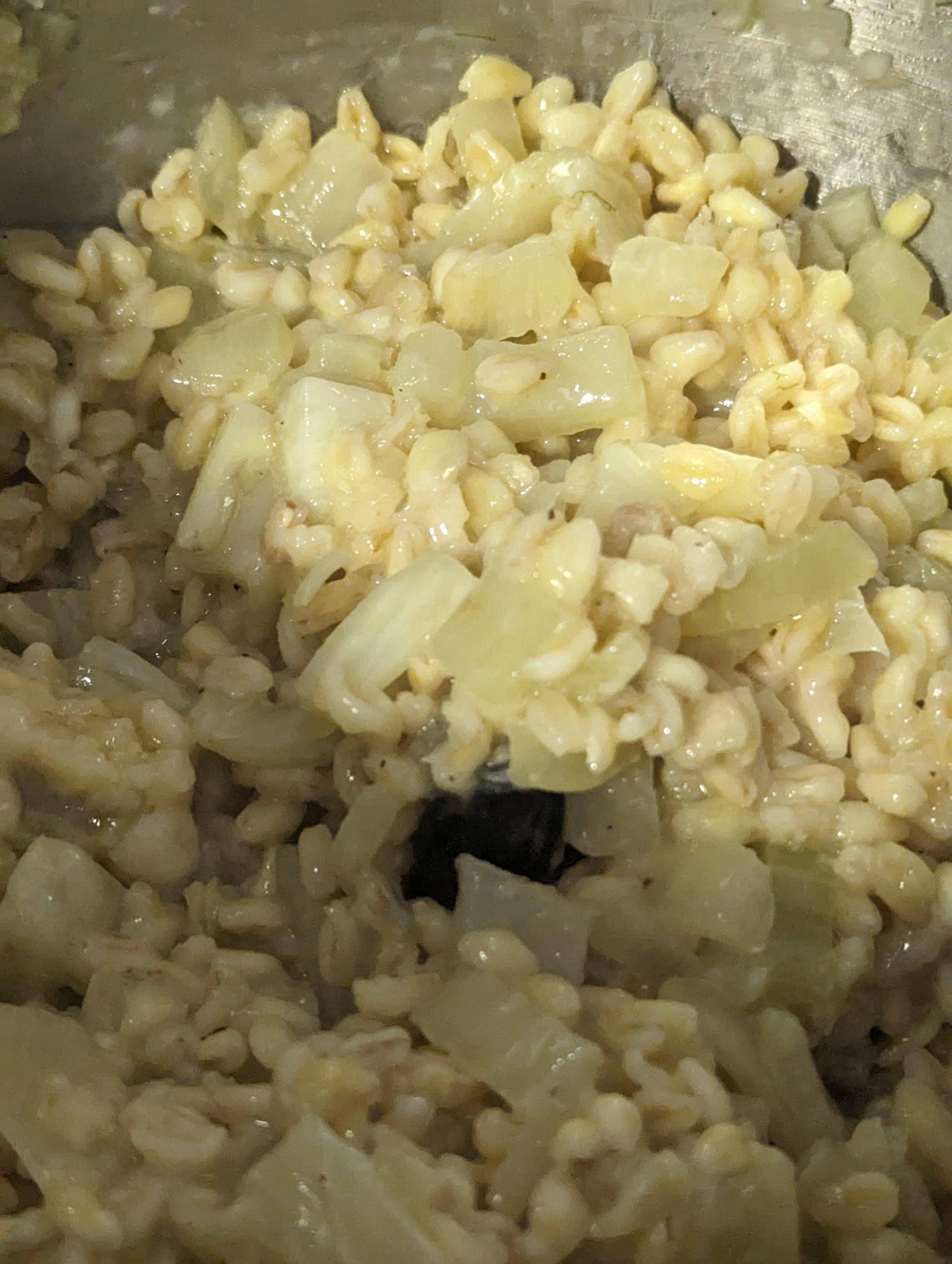 Blesotto de fenouil - Recette Companion XL | Moulinex