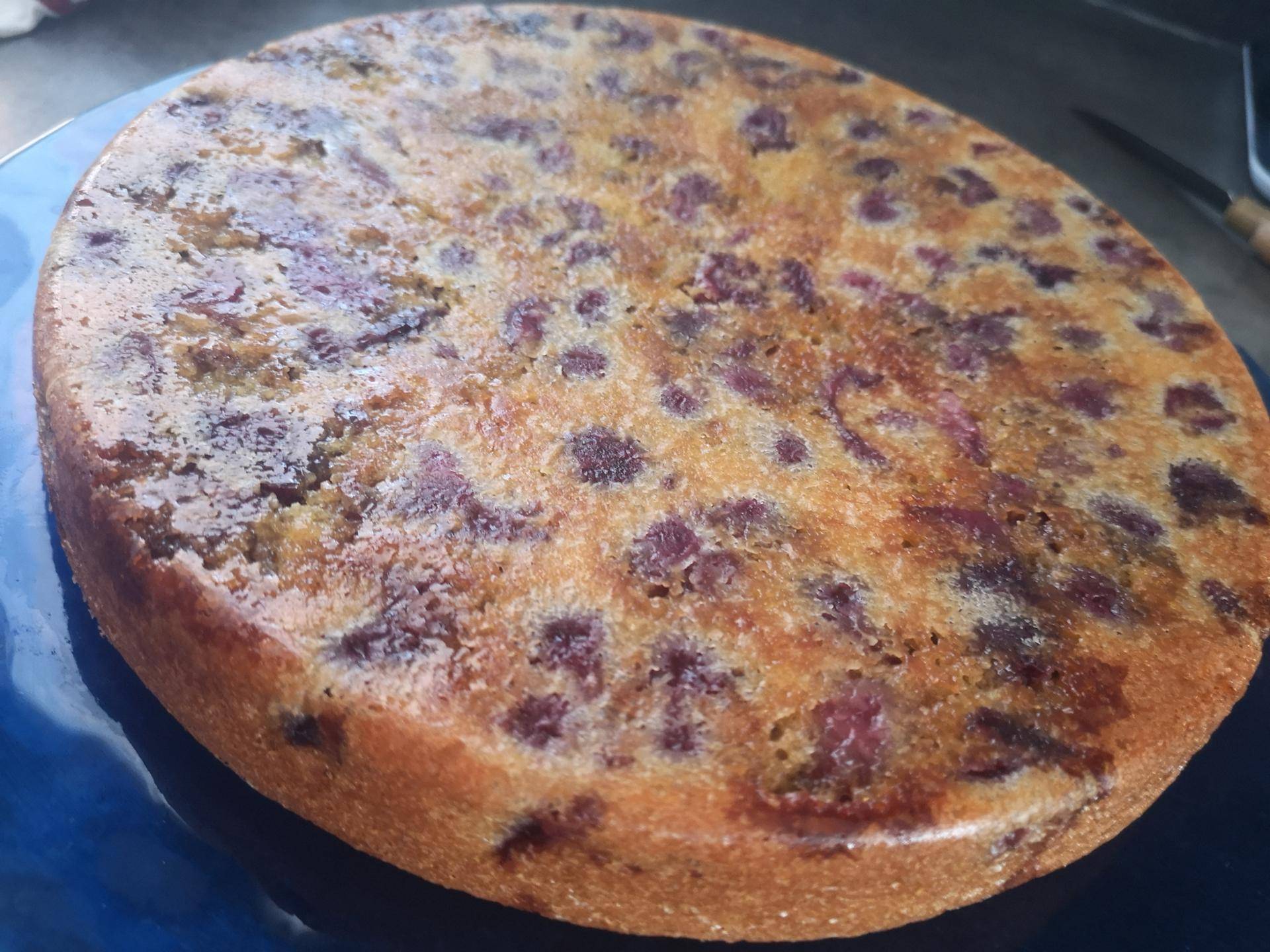 Clafouti aux cerises selon Cyril lignac - Recette Companion XL | Moulinex
