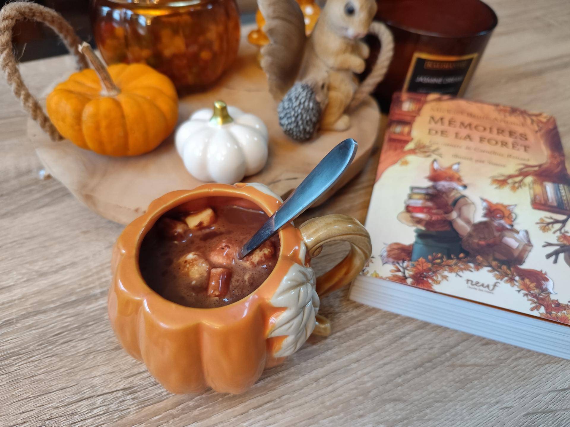 Chocolat chaud crémeux sans lactose - Recette Companion XL | Moulinex