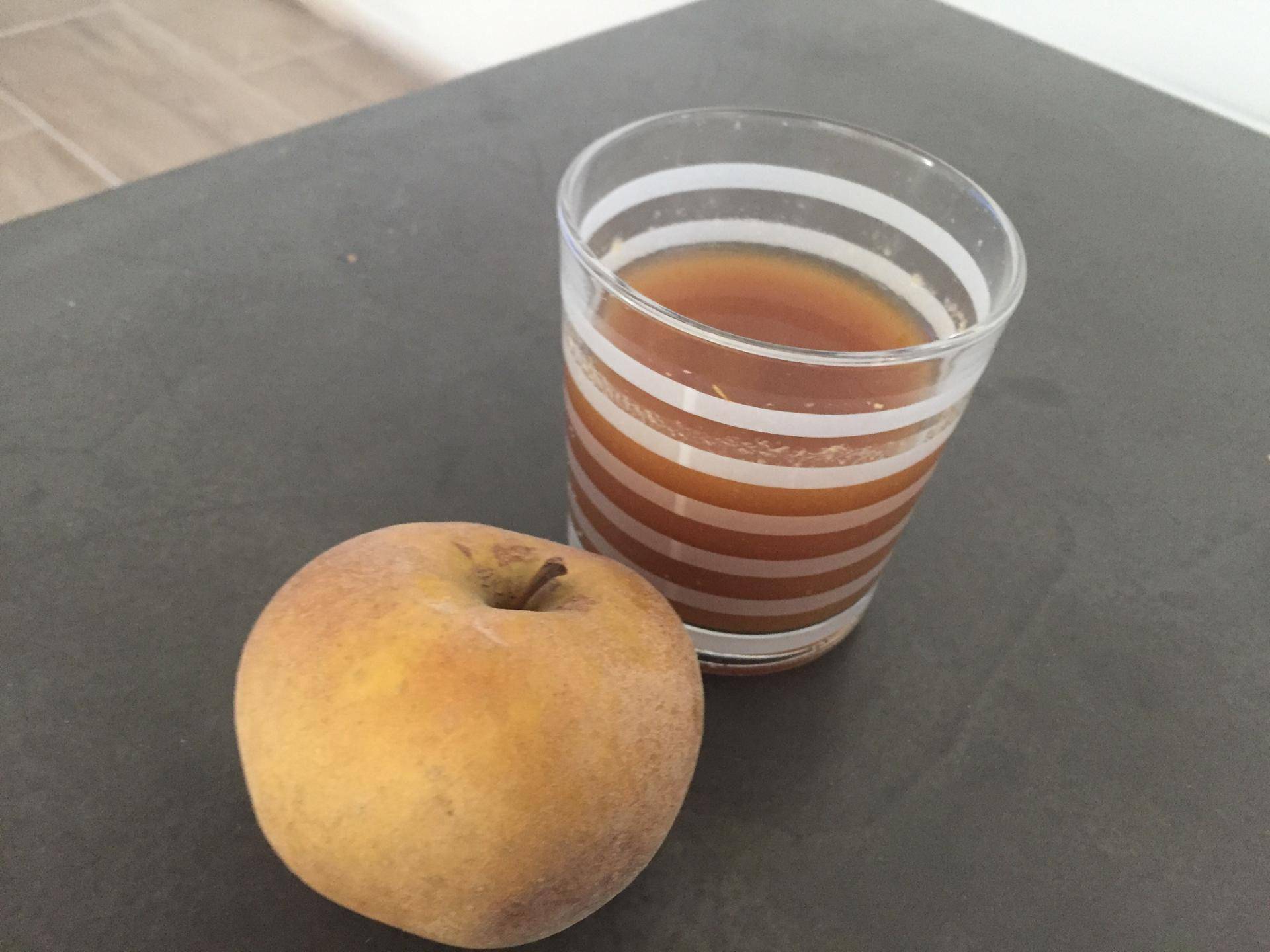 Jus de pomme - Recette Companion Connect XL | Moulinex