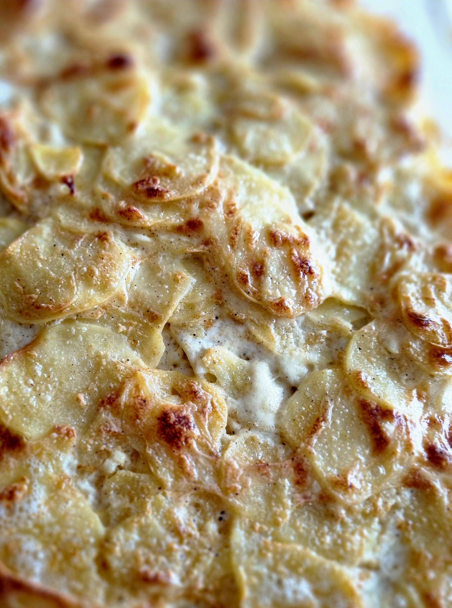 Gratin Dauphinois recette Ninja - Recette Companion | Moulinex