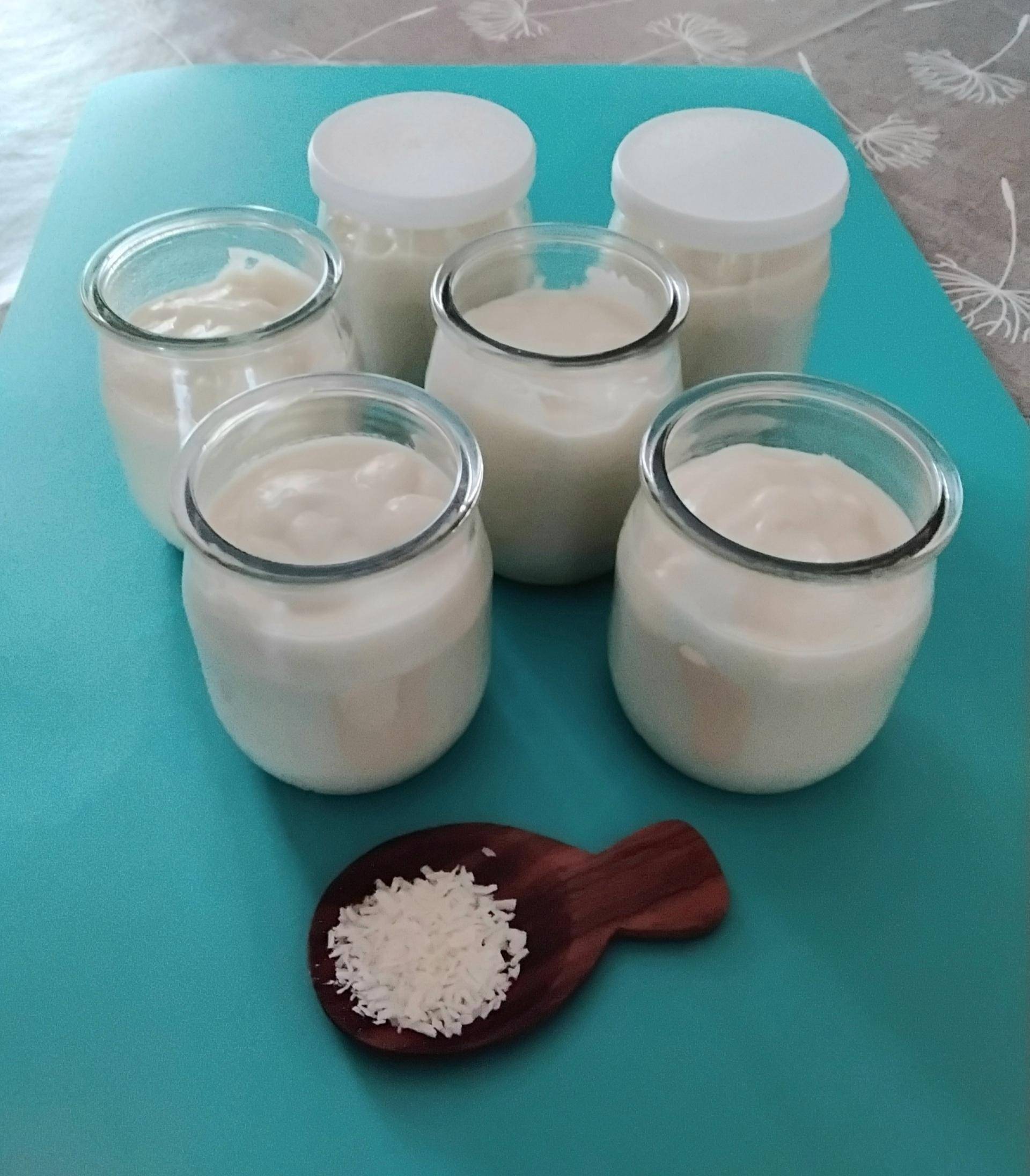 Crème dessert à la noix de coco - Recette Companion Connect XL | Moulinex