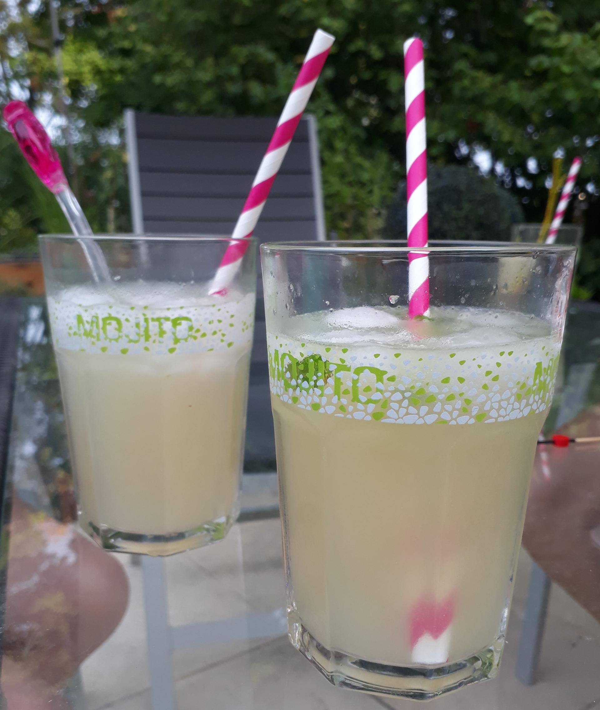 Mojito - Recette Companion | Moulinex