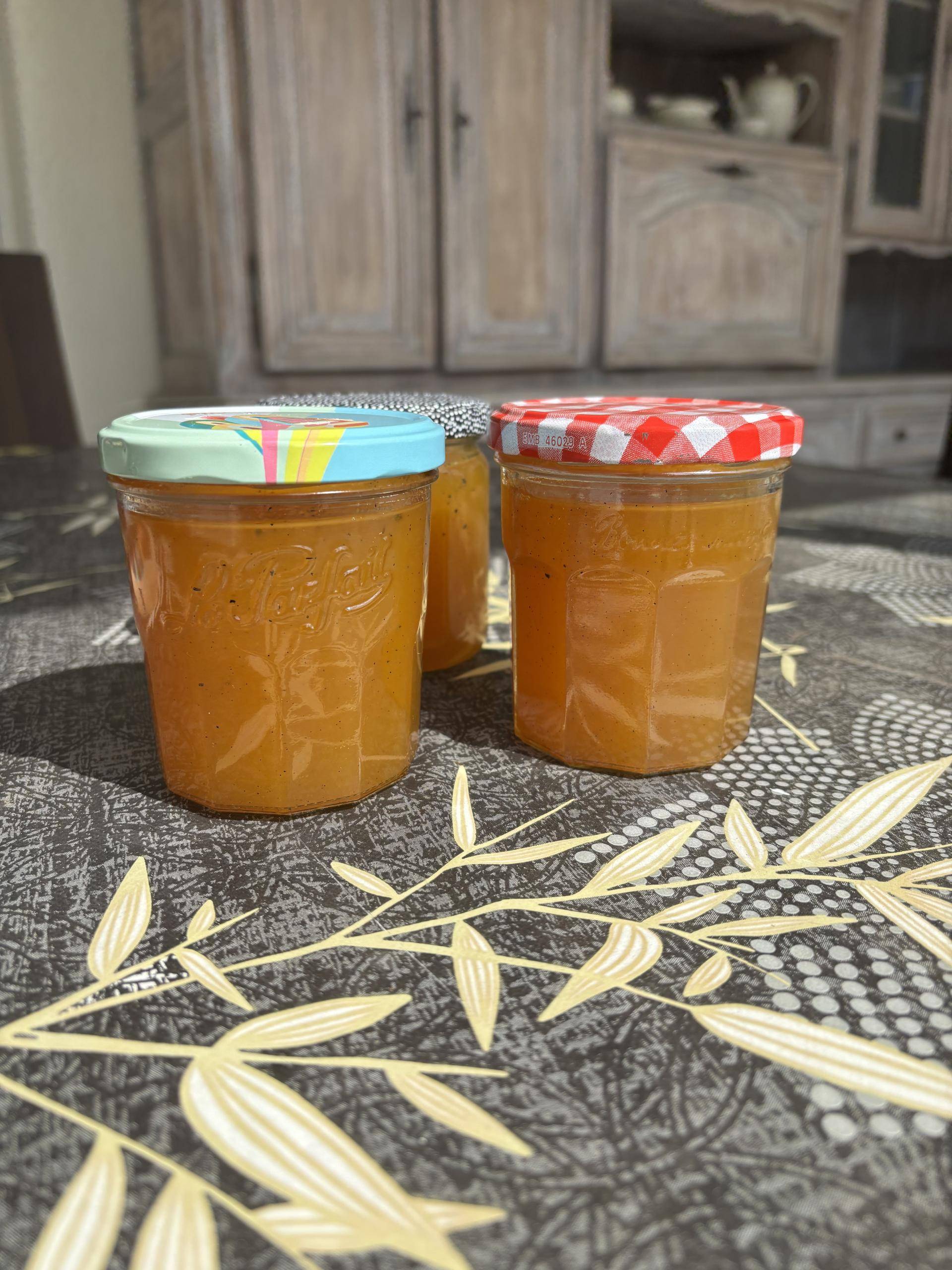 Gelée de mirabelles - Recette Companion Connect XL | Moulinex