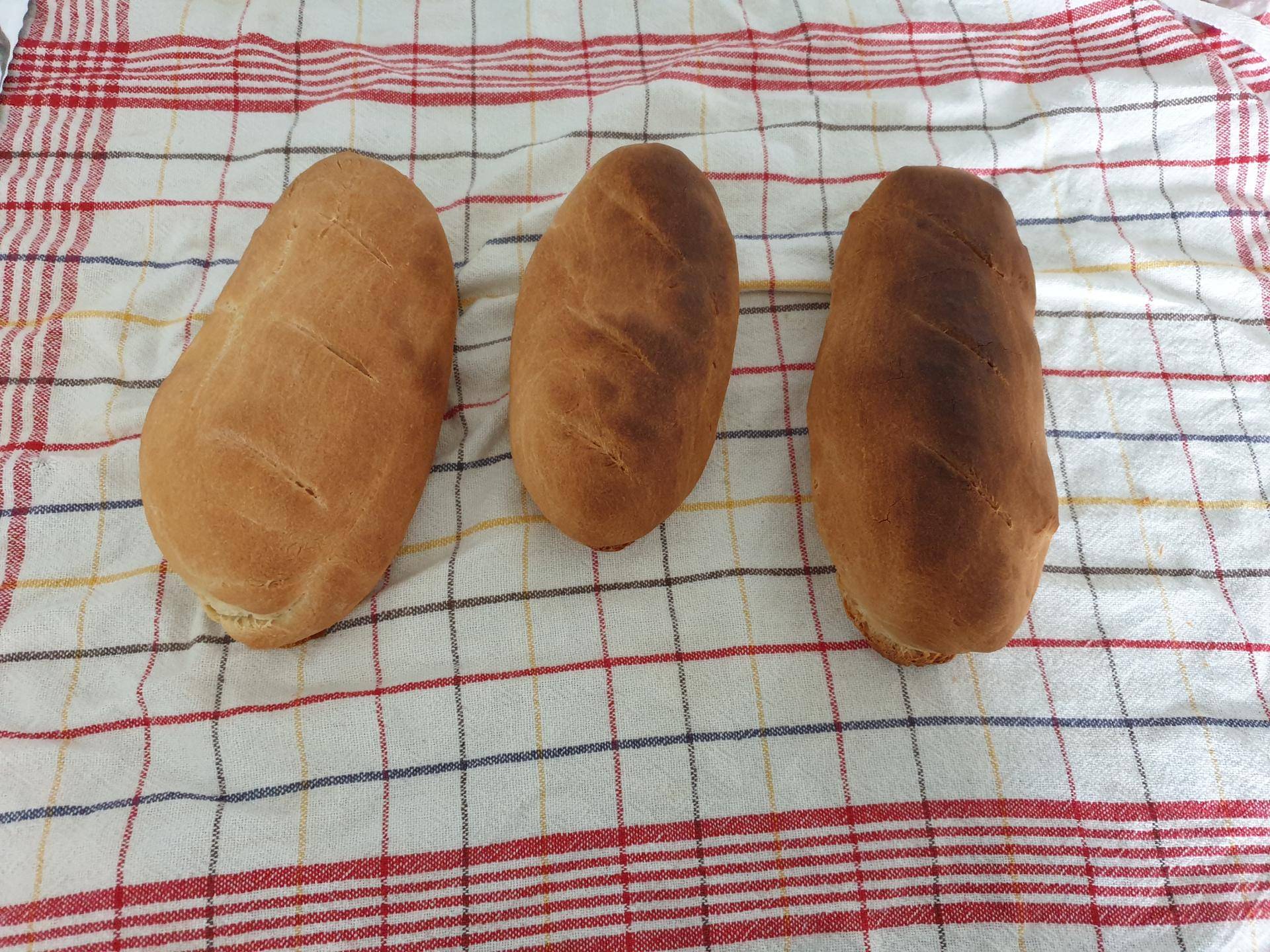 Petits pains - Recette Companion Connect XL | Moulinex