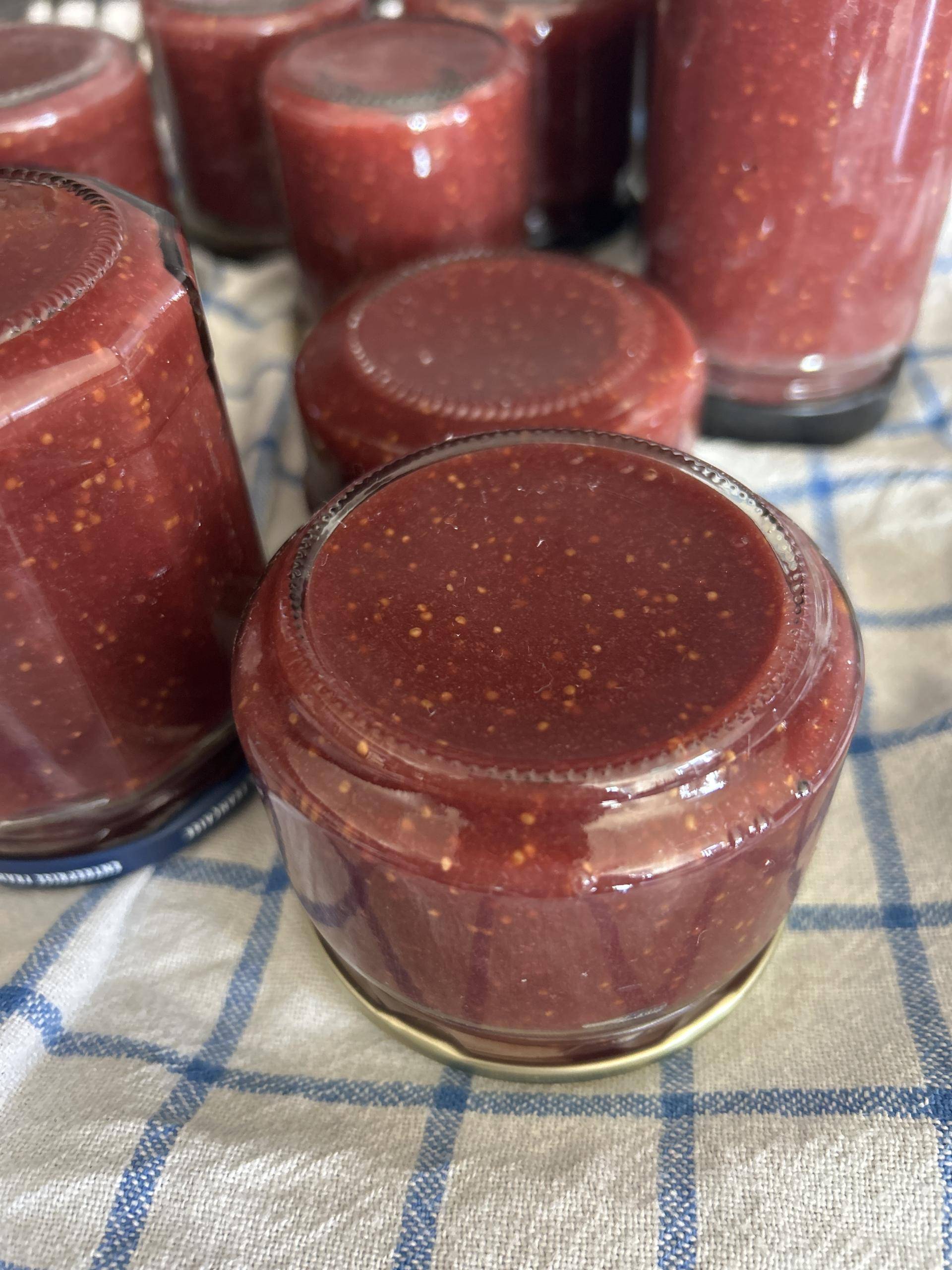 Compote de figues - Recette Companion Connect XL | Moulinex