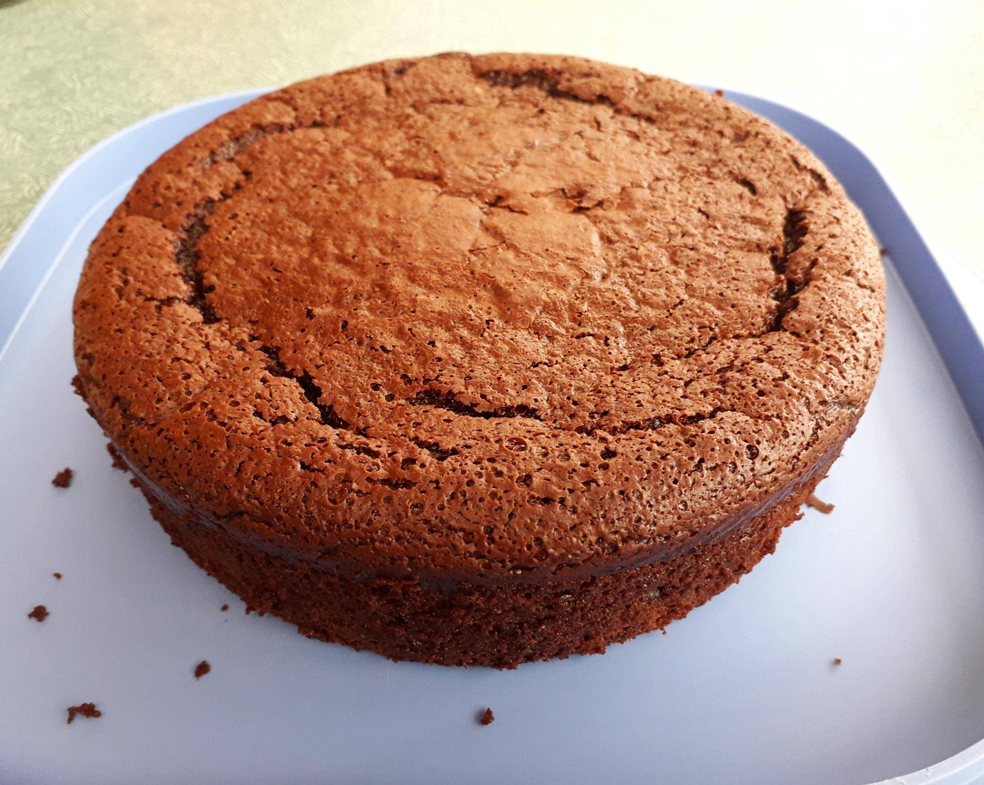 GÂTEAU au CHOCOLAT LÉGER (à l'indétectable courgette) - Recette Companion Connect XL | Moulinex