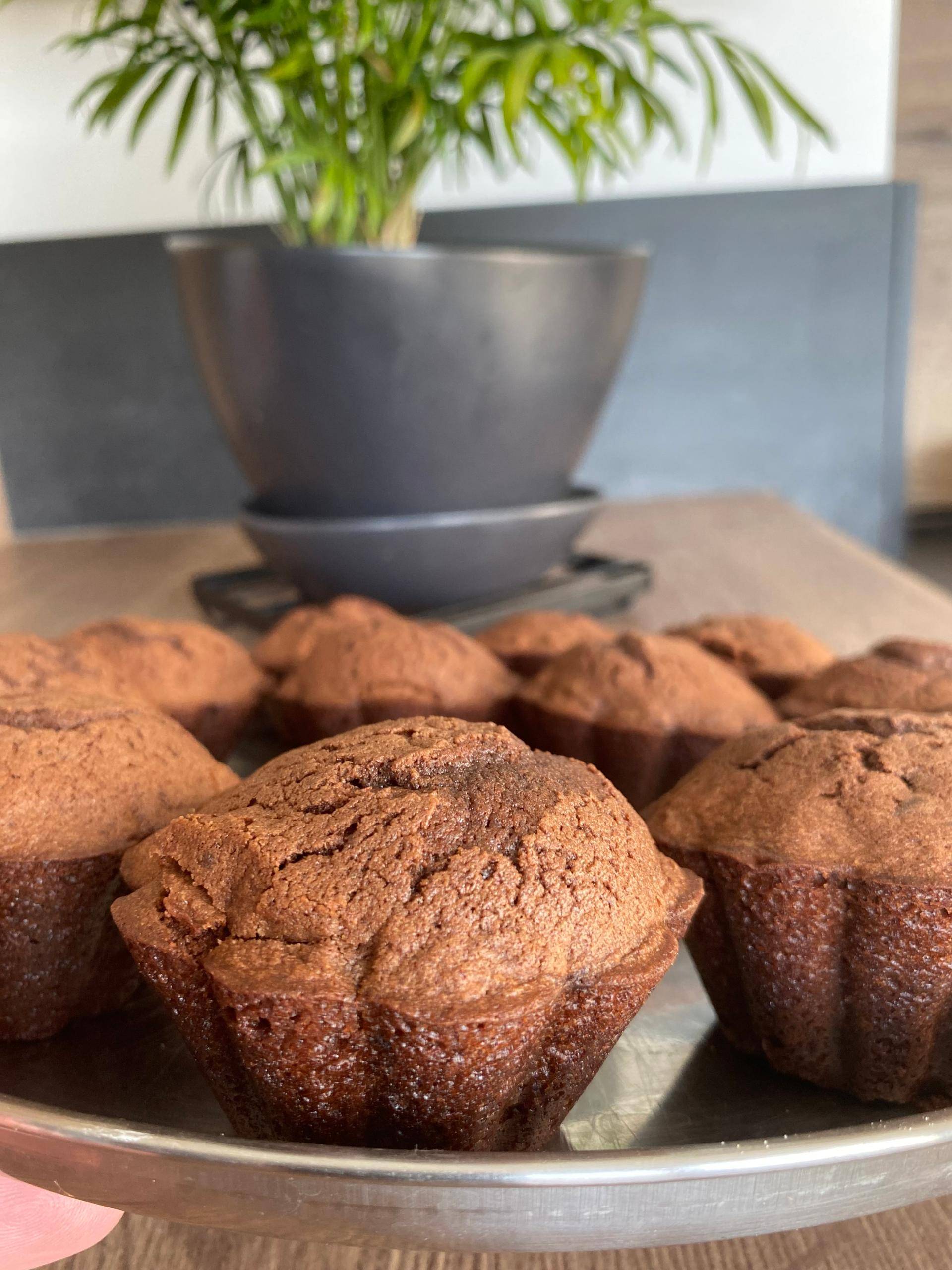 Muffins chocolat Max - Recette Companion XL | Moulinex