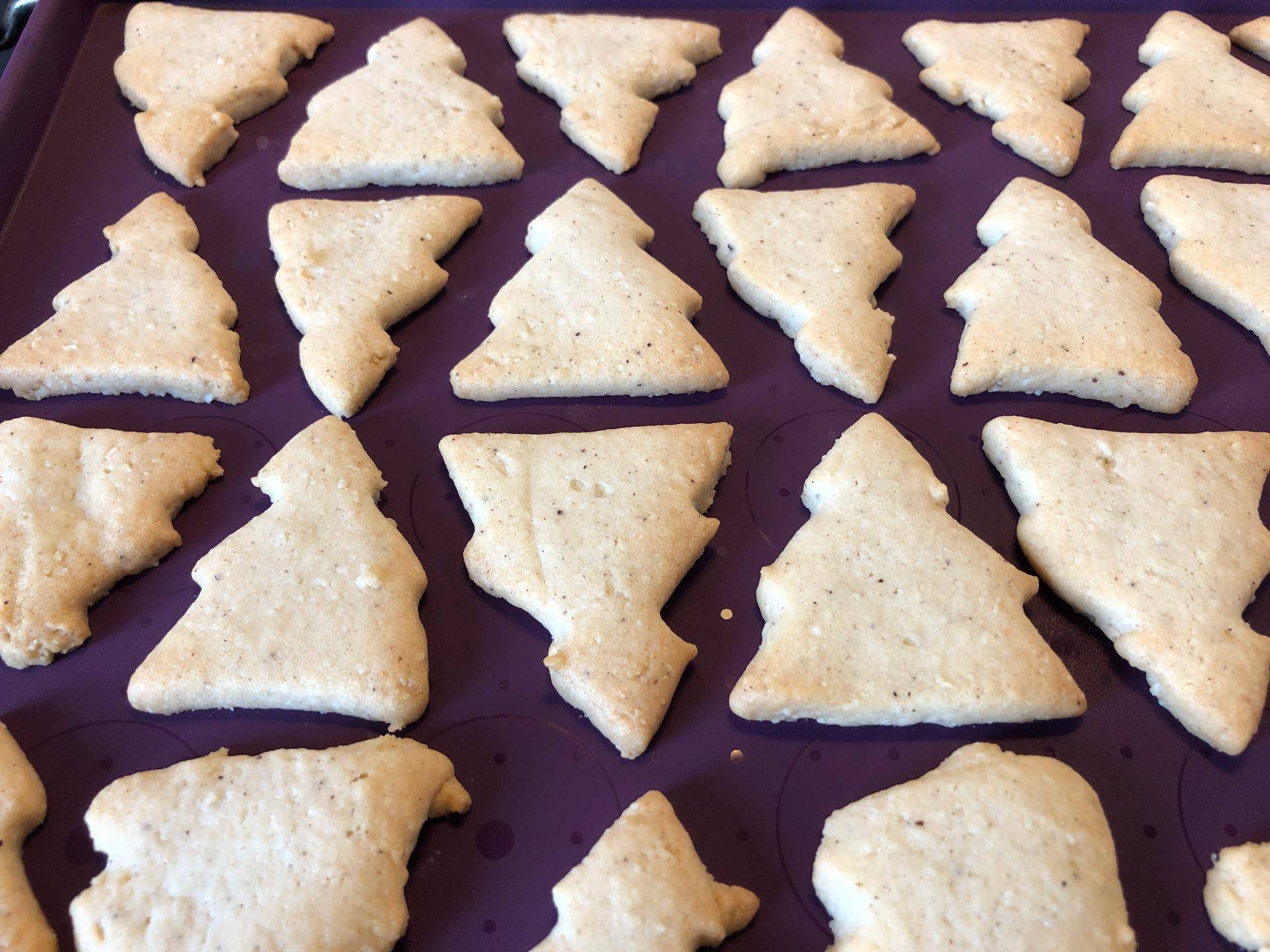 Petits sablés de Noël - Recette Companion Connect XL | Moulinex