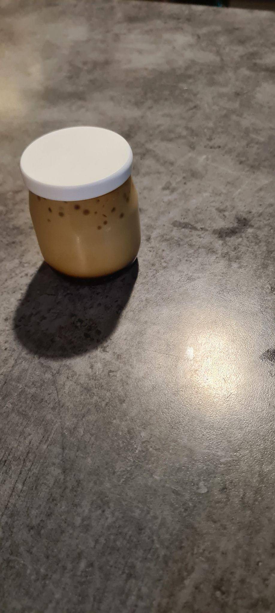 Crème renversée au Companion de 750g.com - Recette Companion Connect XL | Moulinex