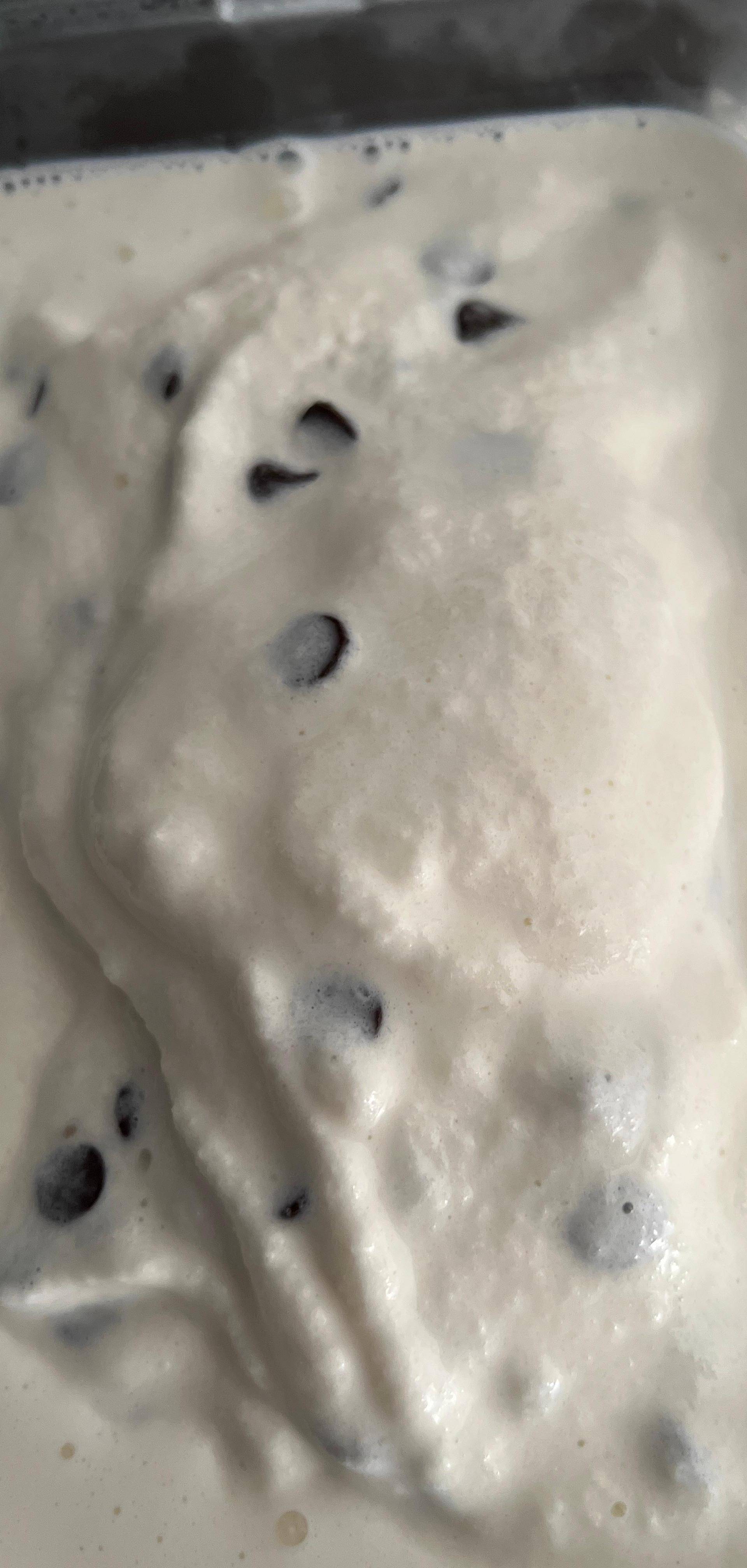 Glace stracciatella - Recette Companion Connect XL | Moulinex