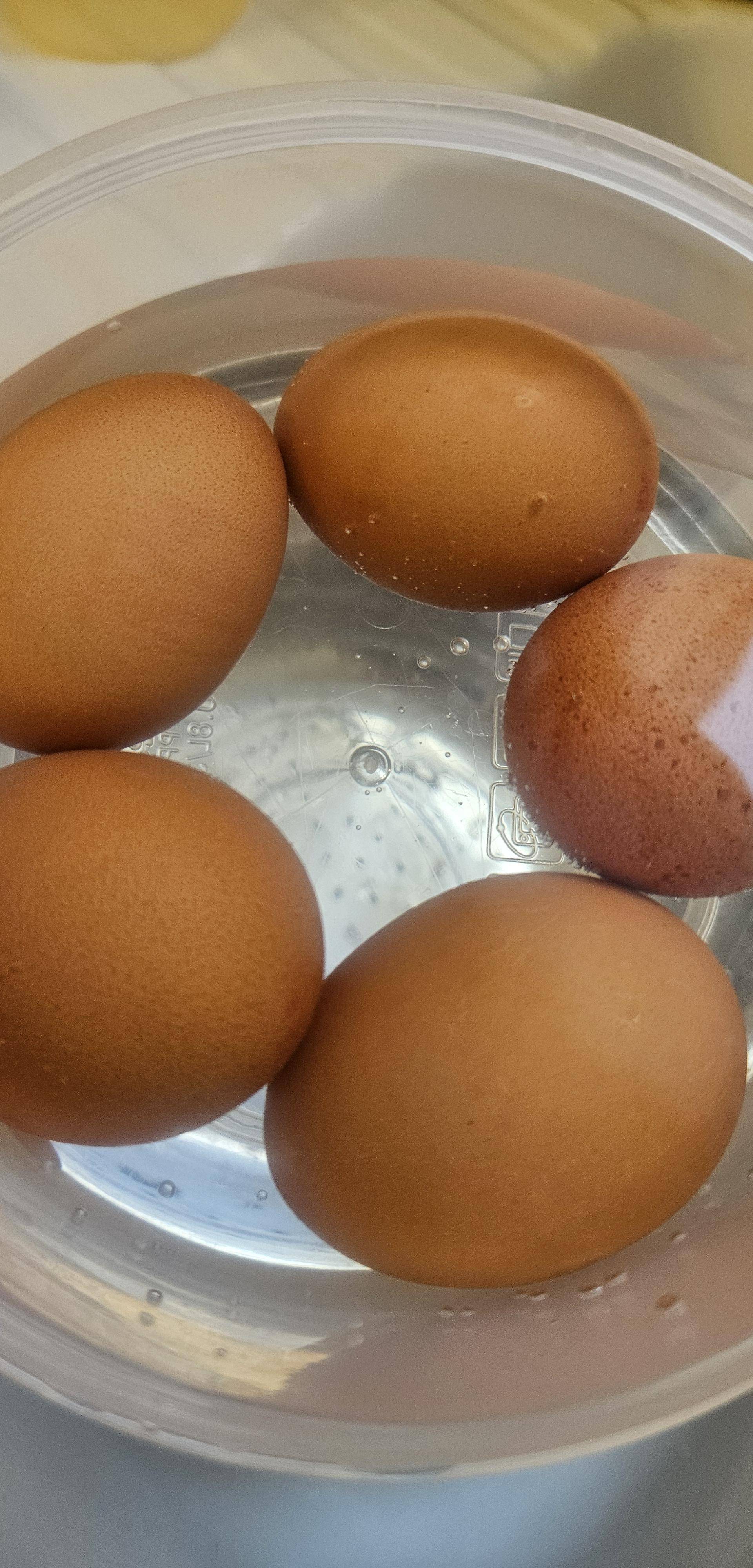 Oeuf dur de GODEFROY - Recette Cookeo V3 | Moulinex