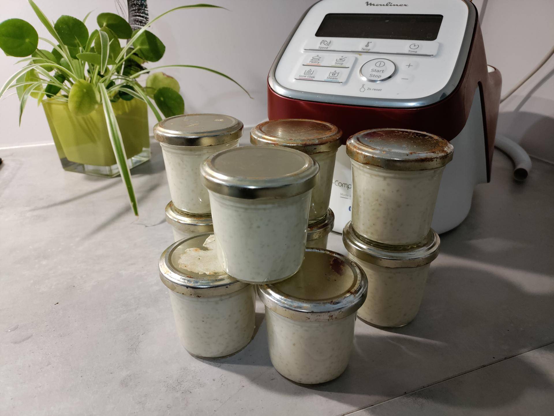 Tapioca au lait - Recette Companion Connect XL | Moulinex