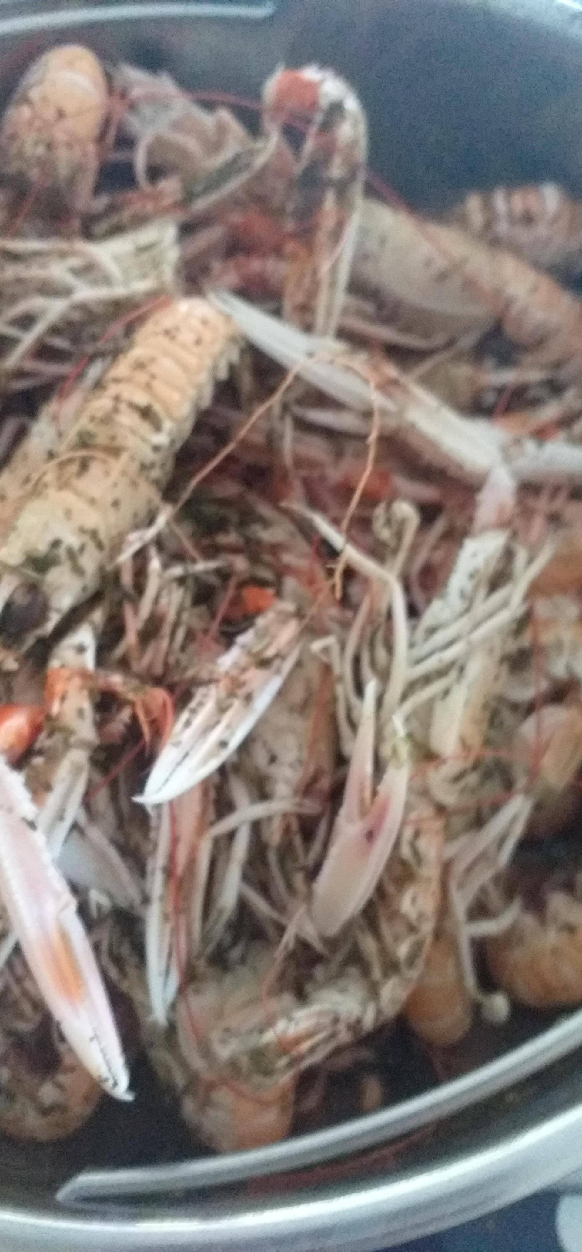 Langoustines met champagnesabayon - Recette Companion | Moulinex