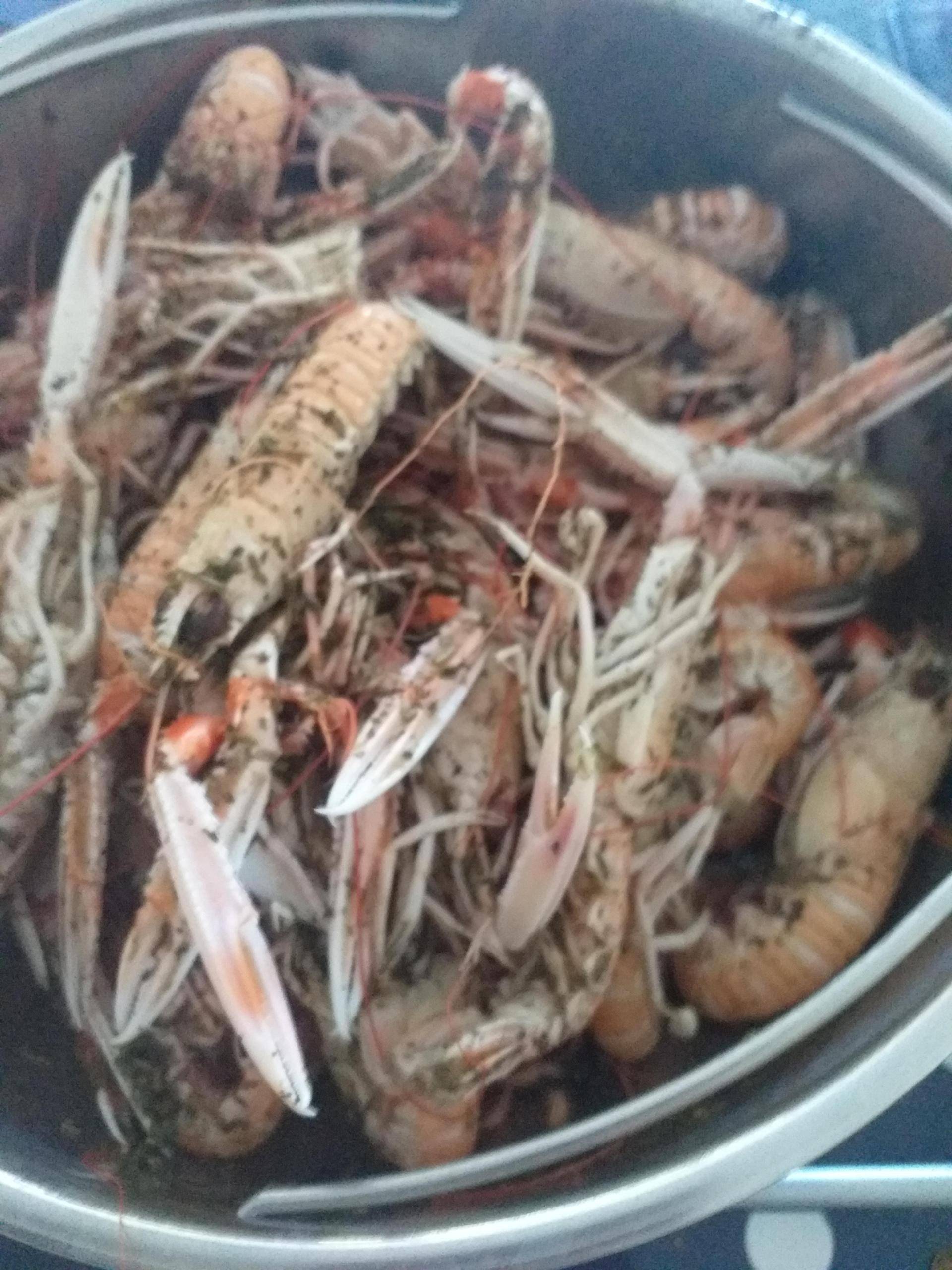 Langoustine - Recette Cookeo | Moulinex