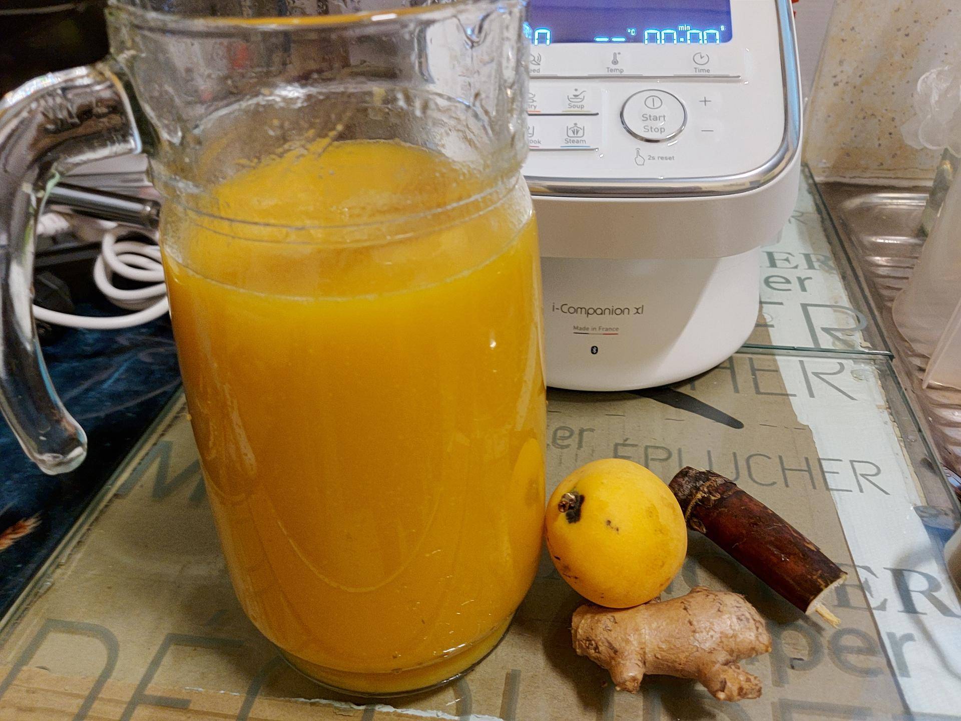 Jus de mangues de saison - Recette Companion Connect XL | Moulinex